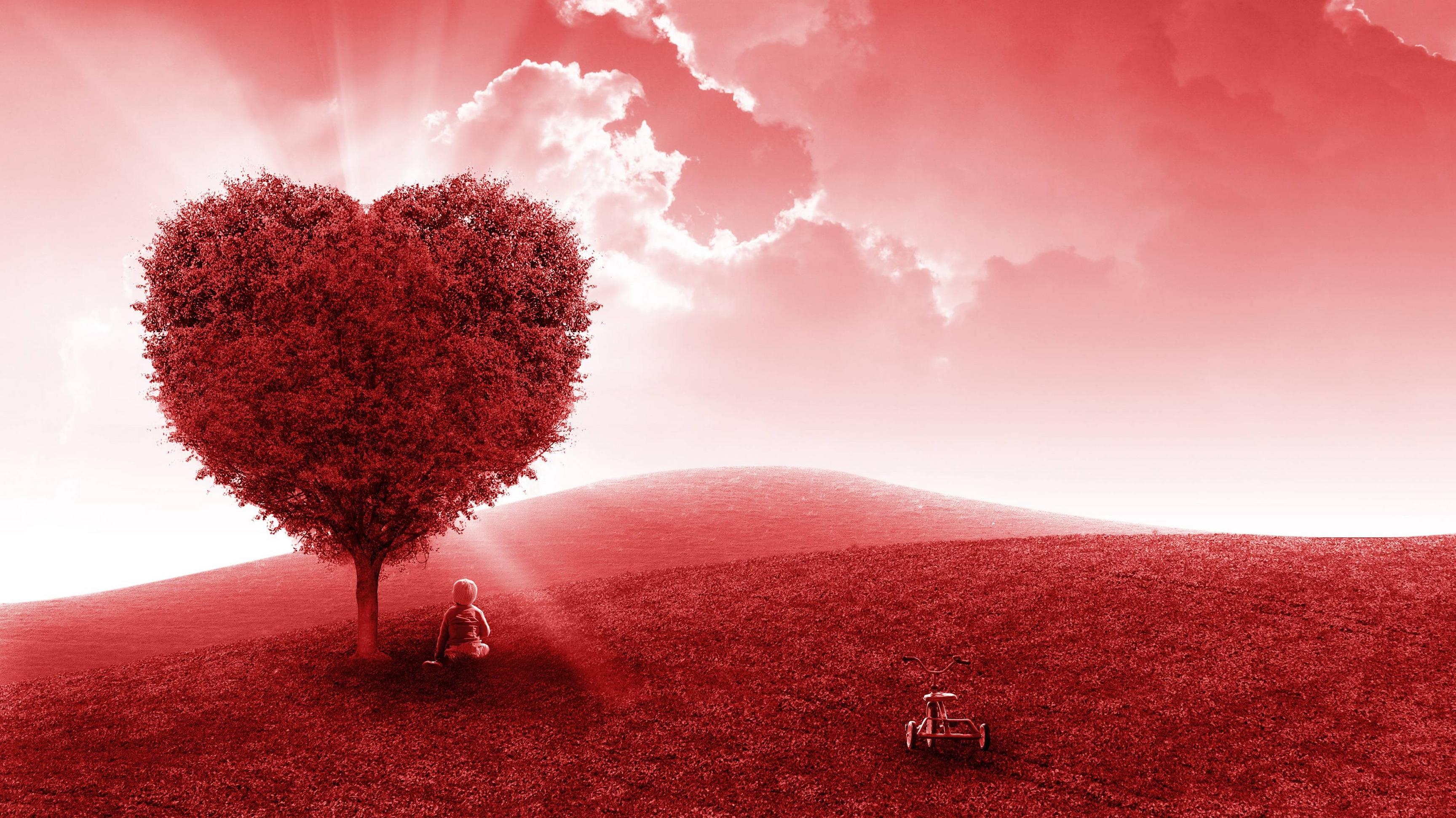 Heart Shape, Love symbol, Nature background, 3460x1950 HD Desktop