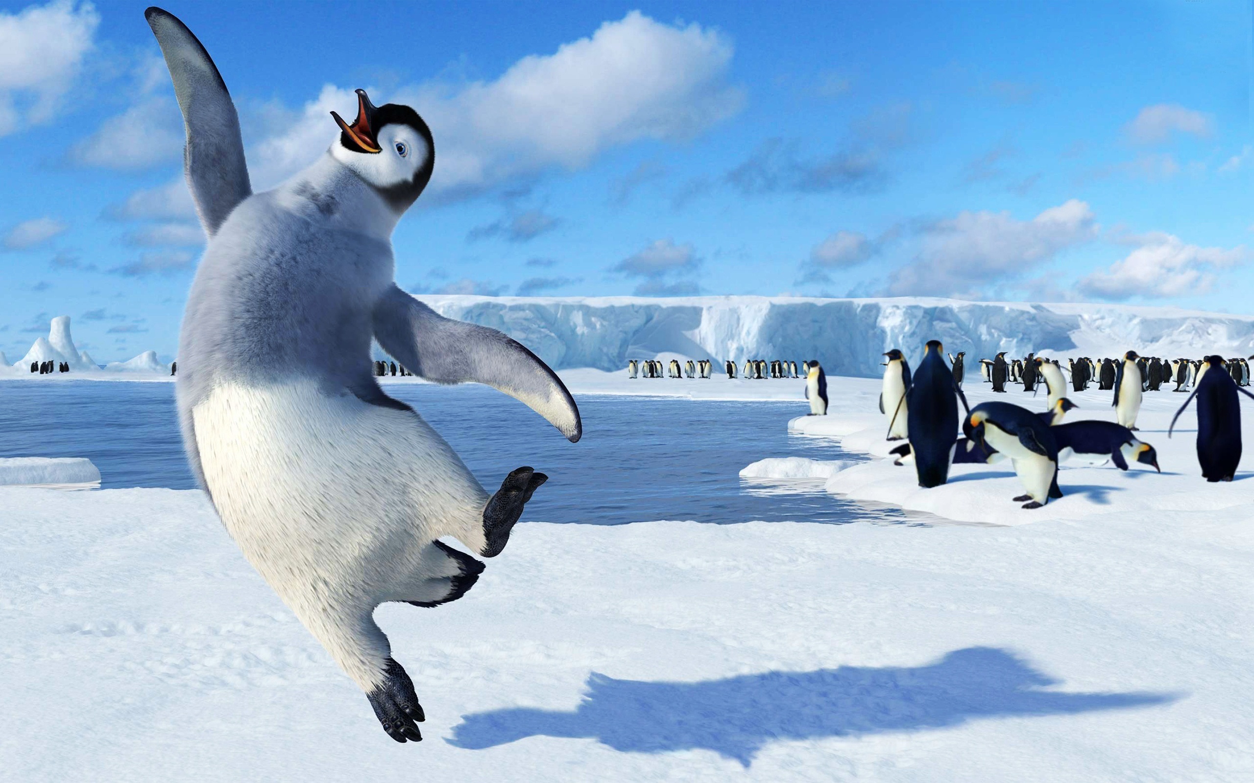 Happy Feet cartoons, Animated characters, Cute penguins, 2560x1600 HD Desktop