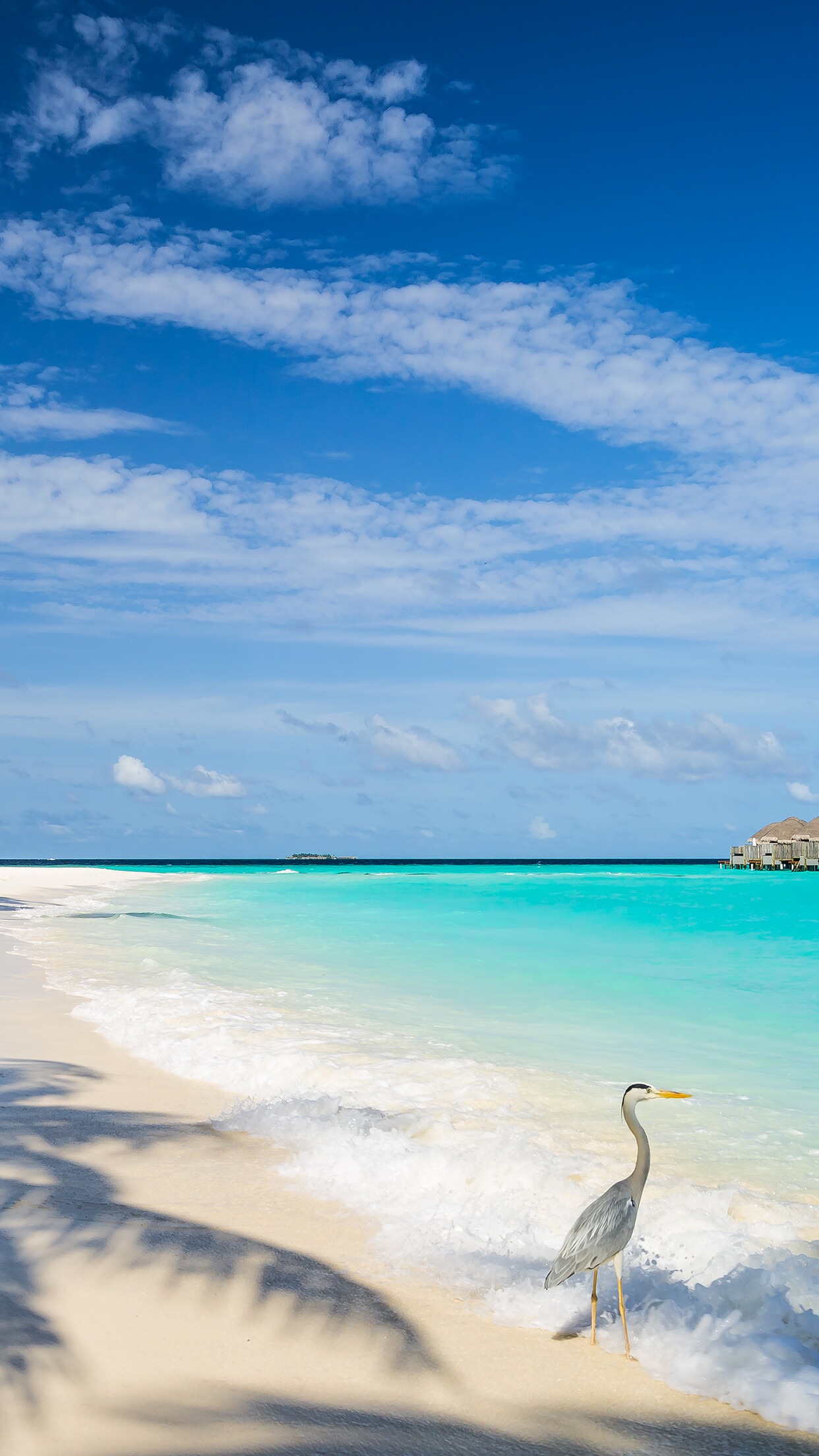 Maldives beach, iPhone wallpaper, Tropical escape, Free download, 1250x2210 HD Phone