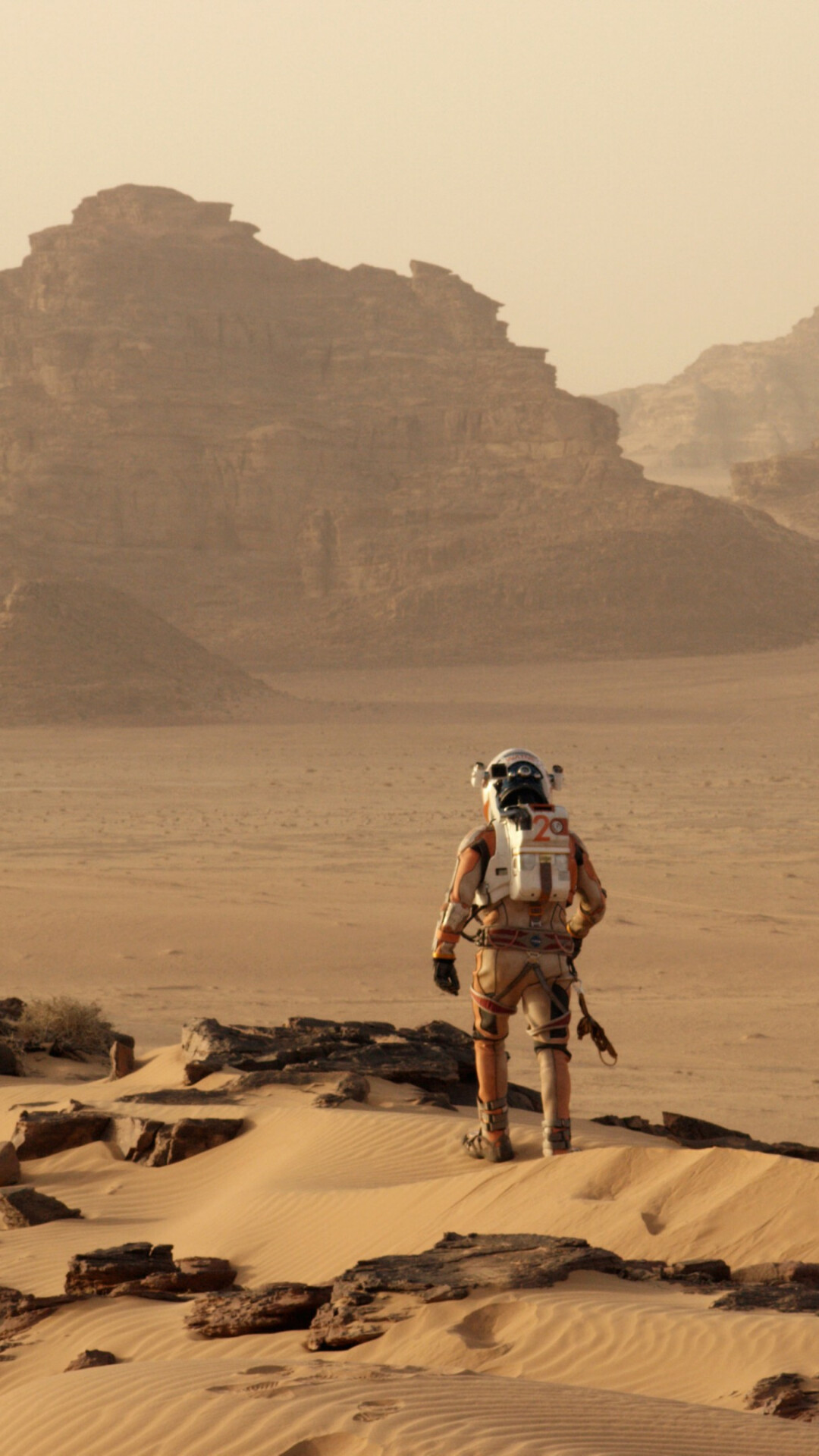 Mars: The Martian, 2015 movie, Matt Damon, The Red Planet. 1080x1920 Full HD Background.