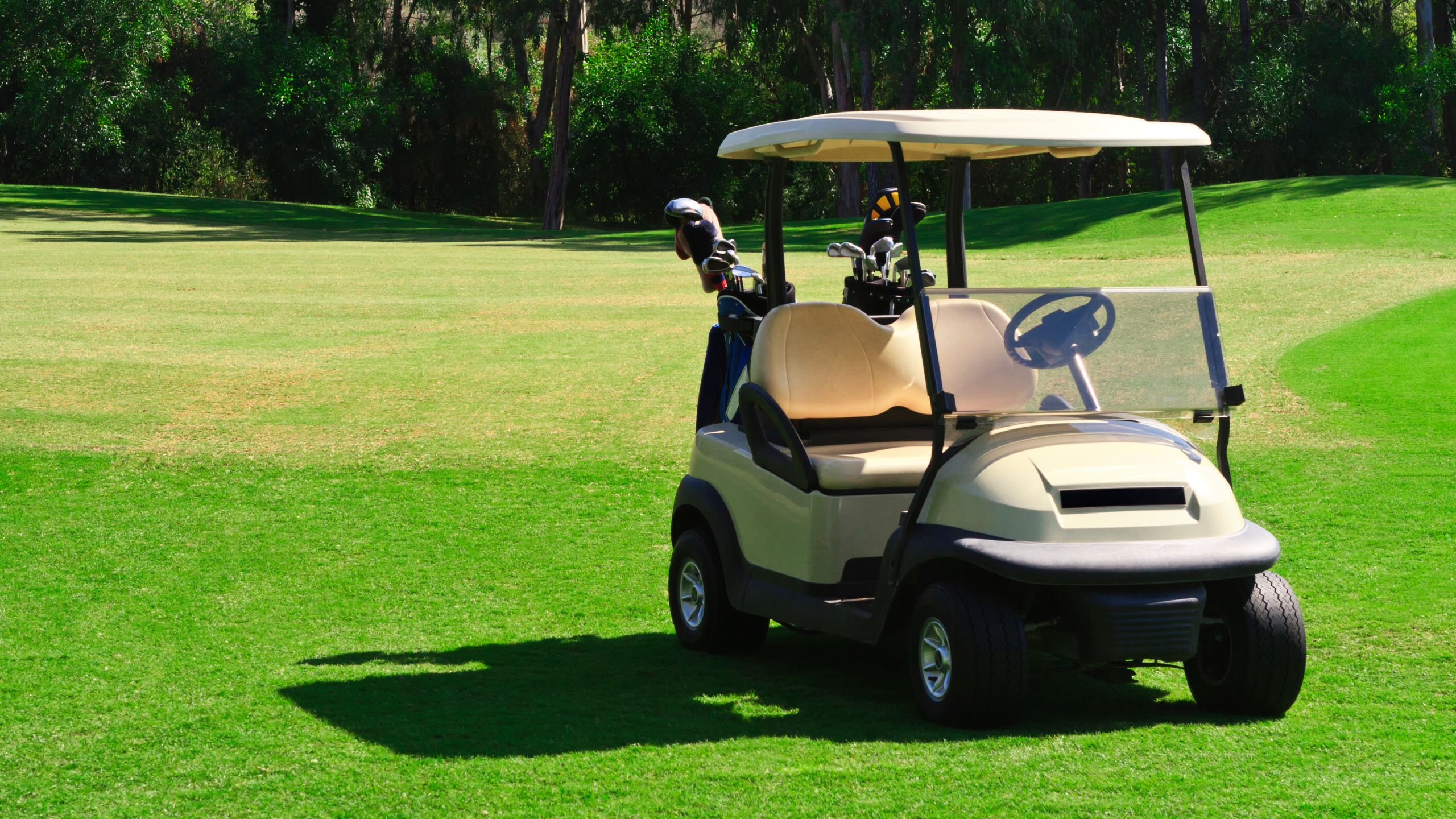 Golf Cart, Town of Tonawanda, Golf Course rentals, 2560x1440 HD Desktop
