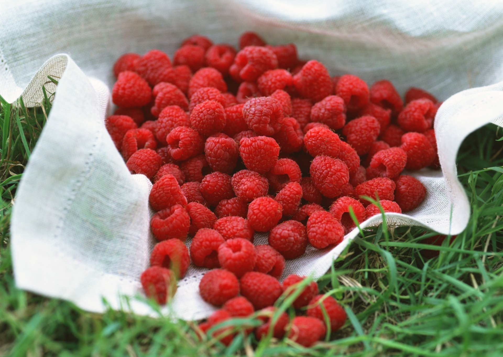 Raspberry wallpapers, Vibrant fruit, Refreshing snack, Bursting with antioxidants, 1920x1370 HD Desktop