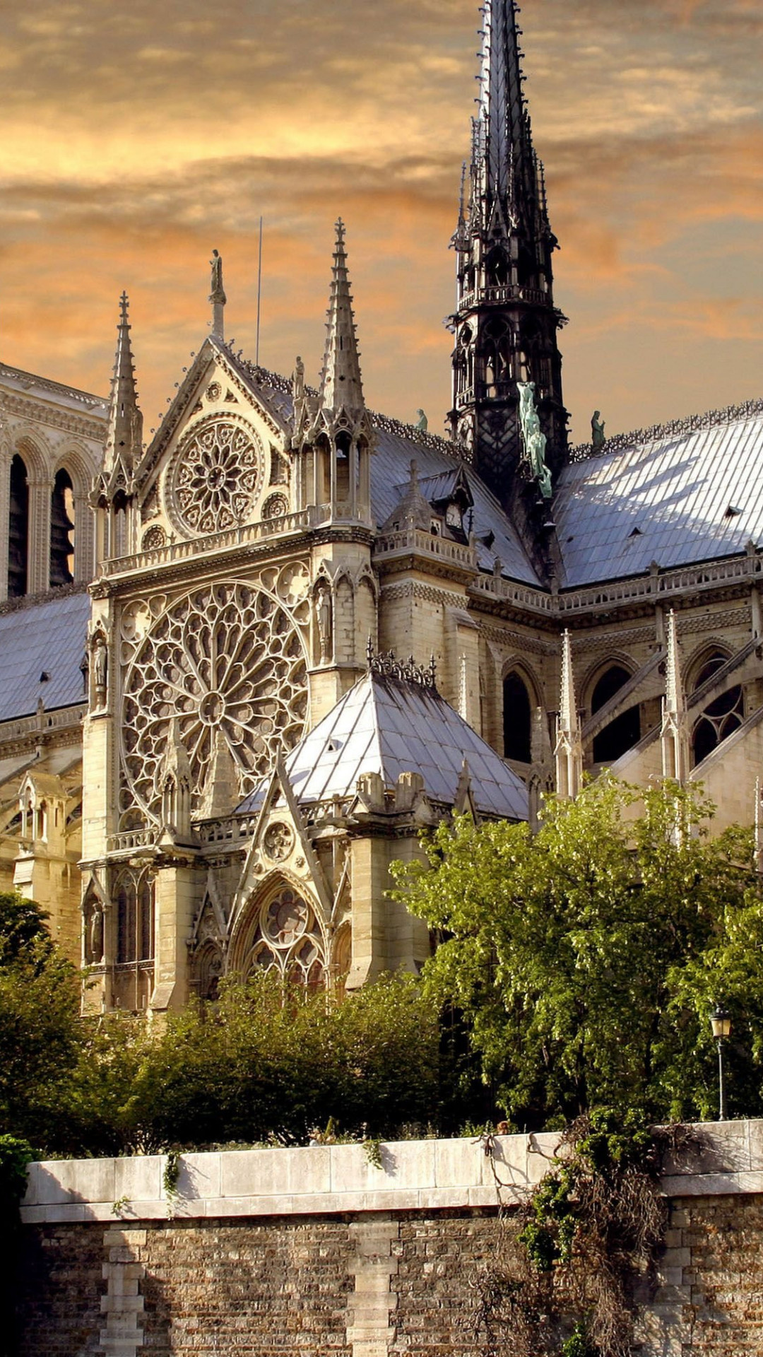 Notre-Dame Cathedral, Travels, Widescreen wallpapers, Mesmerizing beauty, 1080x1920 Full HD Handy