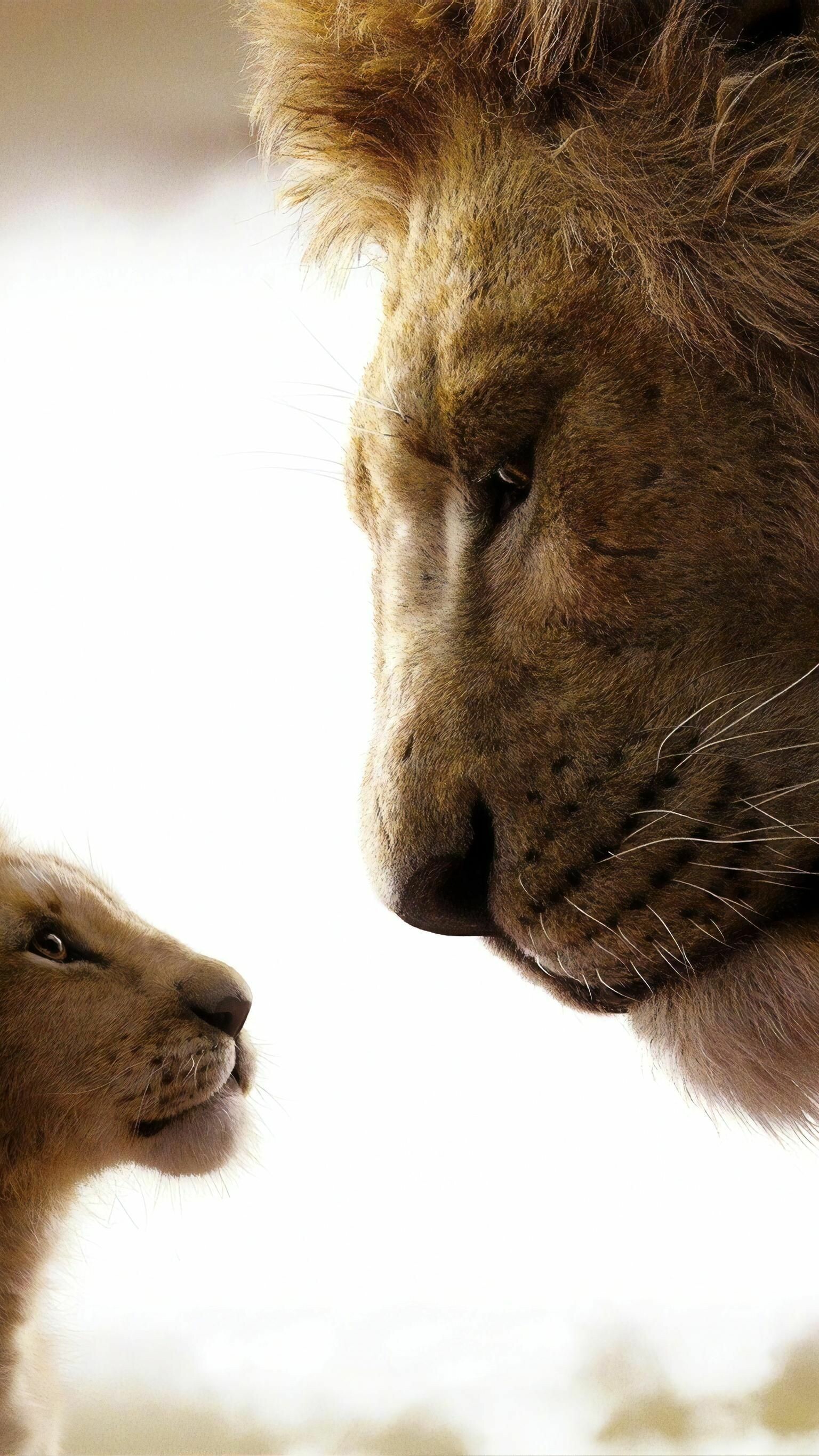 The Lion King: Mufasa and Simba, The Pride Lands. 1540x2740 HD Wallpaper.