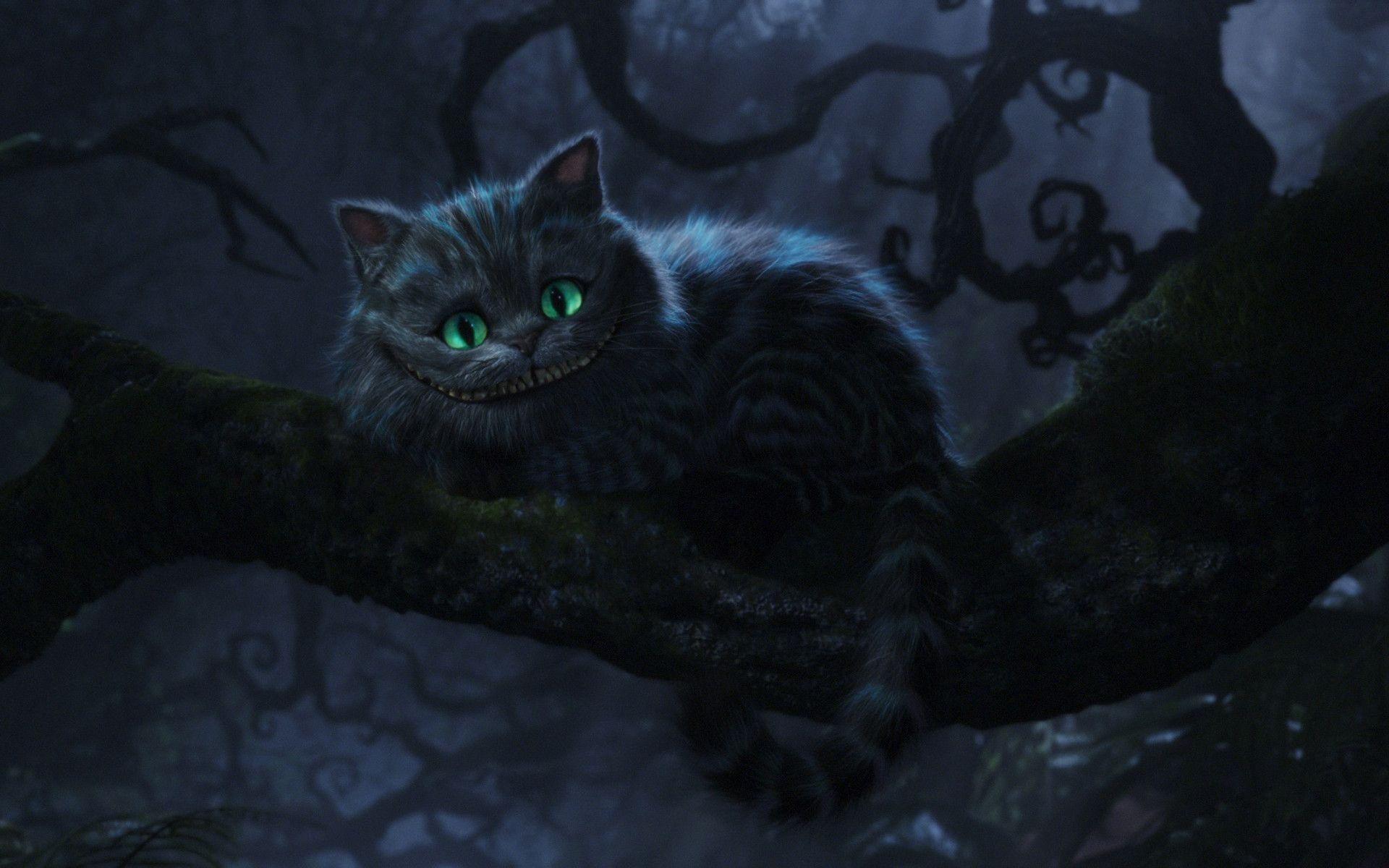 Cheshire Cat: Disney's character, A permanent smile on his face, can disappear at will. 1920x1200 HD Wallpaper.