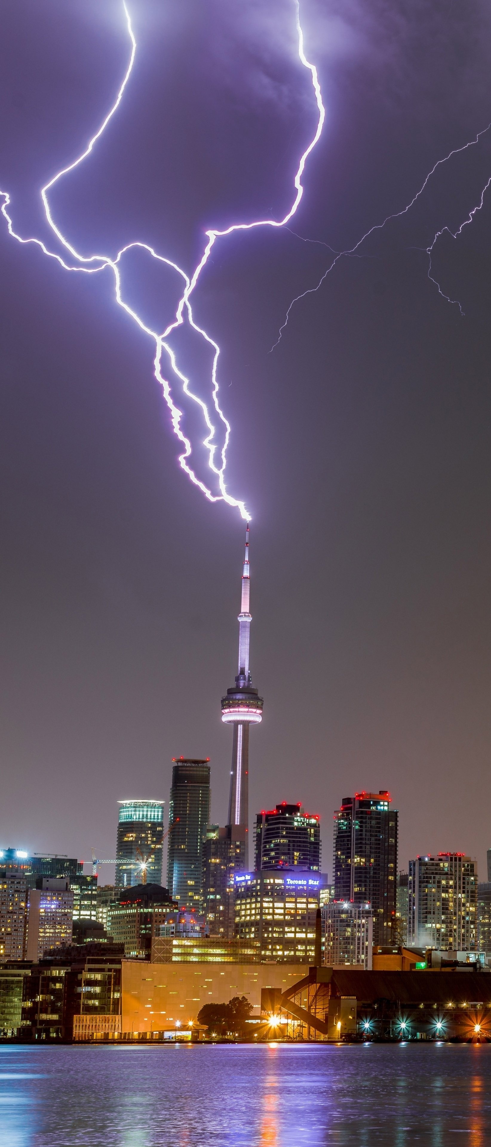Toronto Skyline at Night, Travels, Man made Toronto, 1650x3840 HD Phone