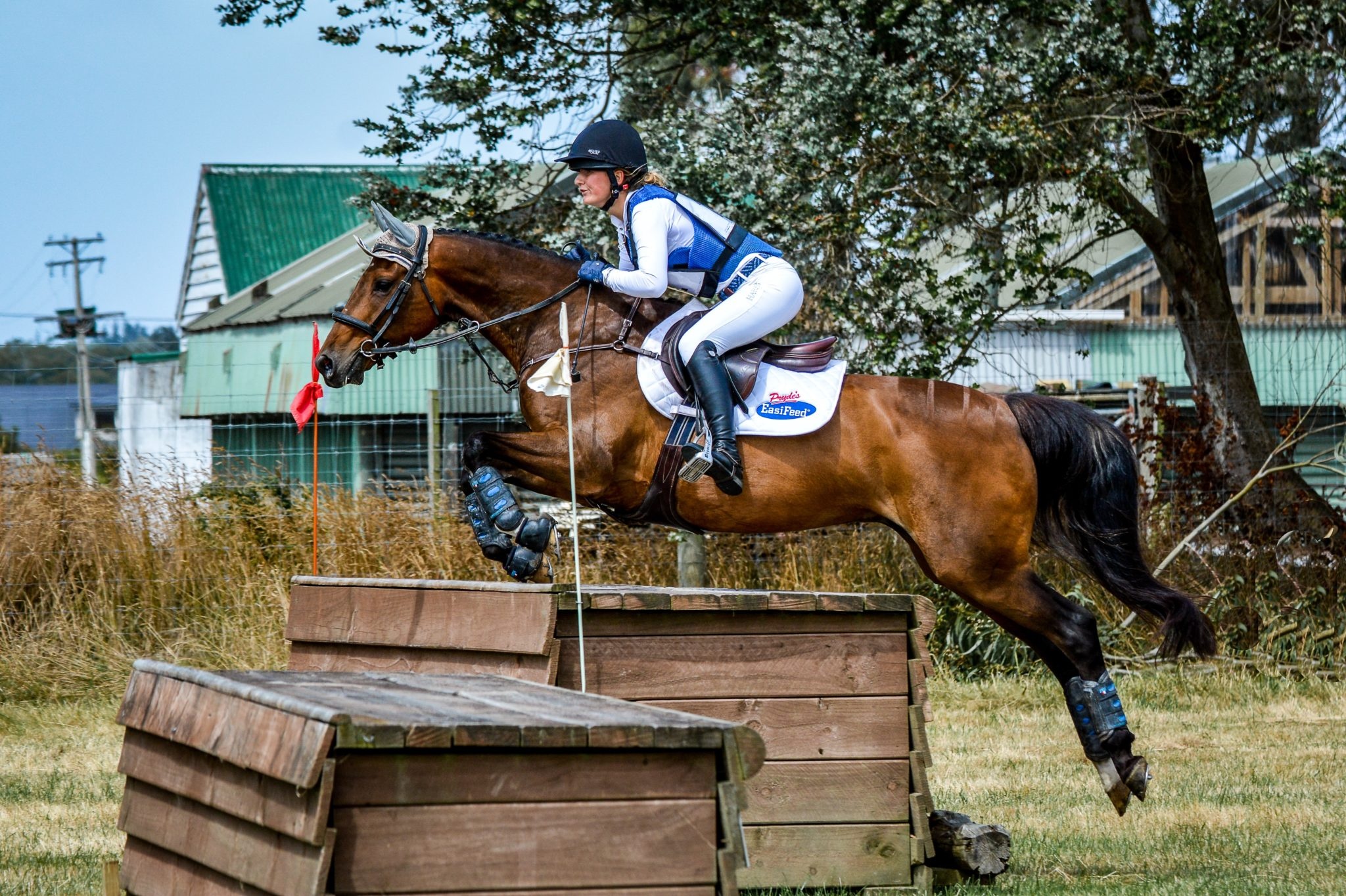 Eventing: Show jumping, Official Olympic sport and a popular outdoor recreational activity. 2050x1370 HD Background.