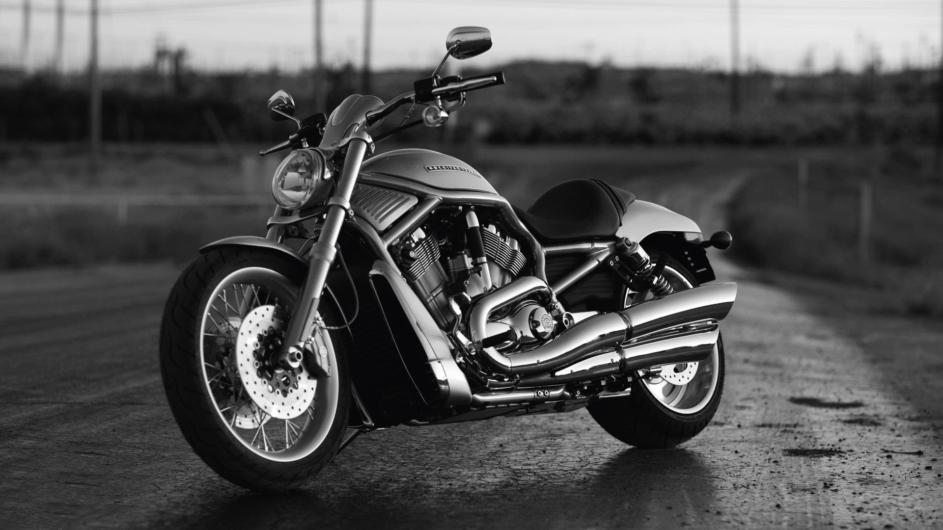 Harley-Davidson Bikes, Sleek and stylish, Harley Davidson screen wallpaper, Rider's delight, 1920x1080 Full HD Desktop