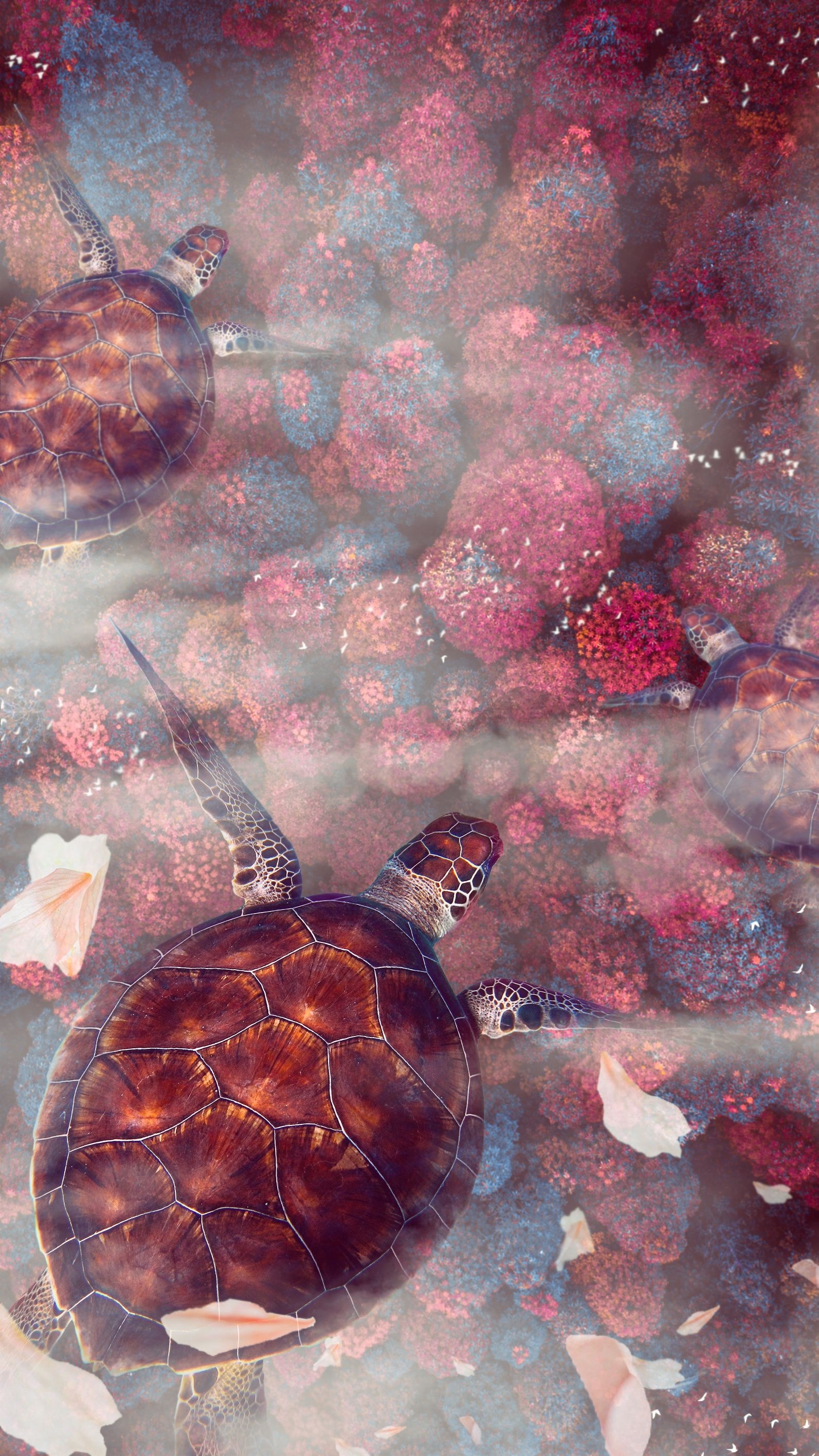 Sea turtle, Marine life, Oceanic beauty, Underwater world, 1600x2840 HD Phone