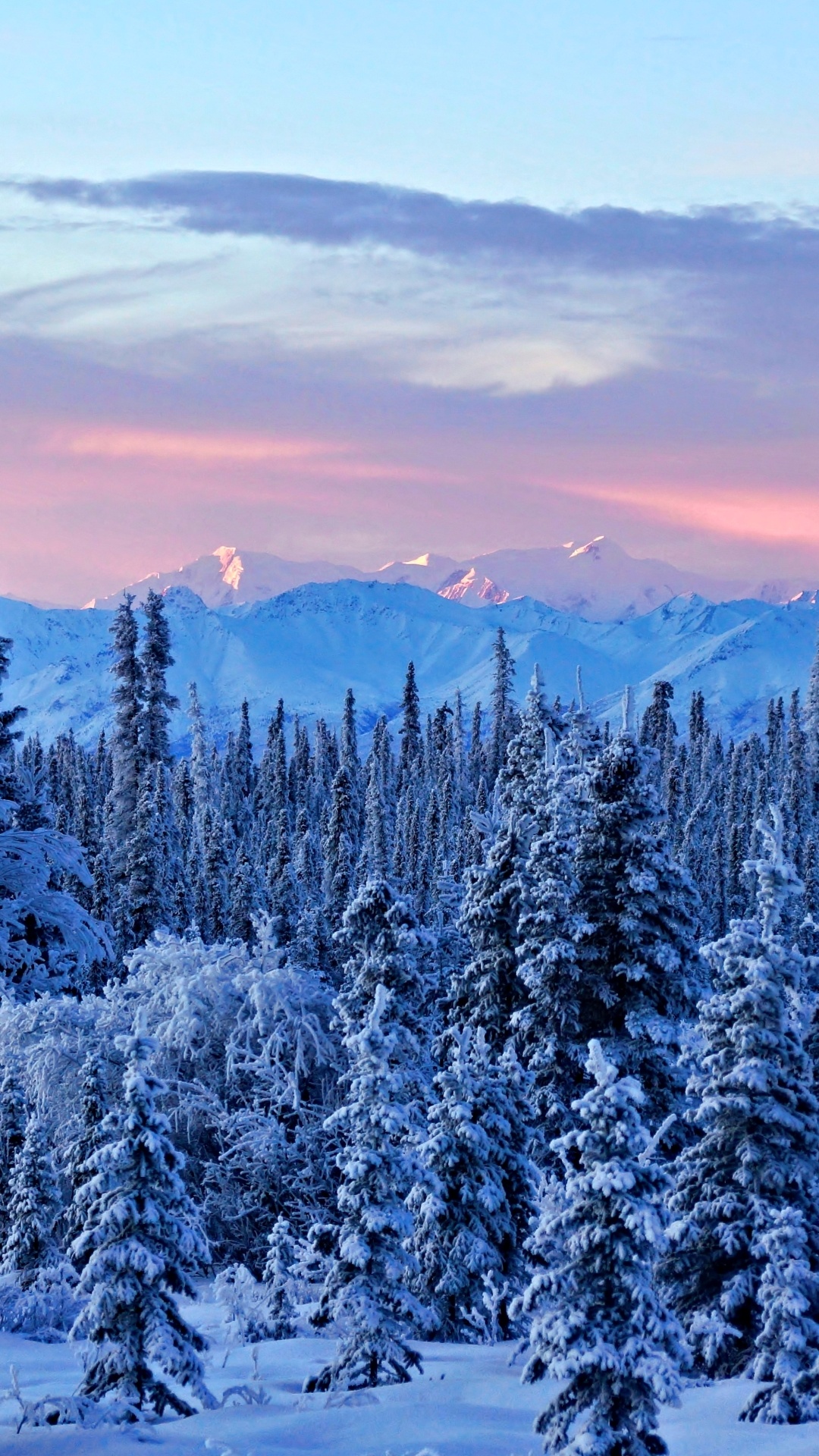 Alaska travels, Earth winter, Winter wonderland, Weather phenomenon, 1080x1920 Full HD Phone