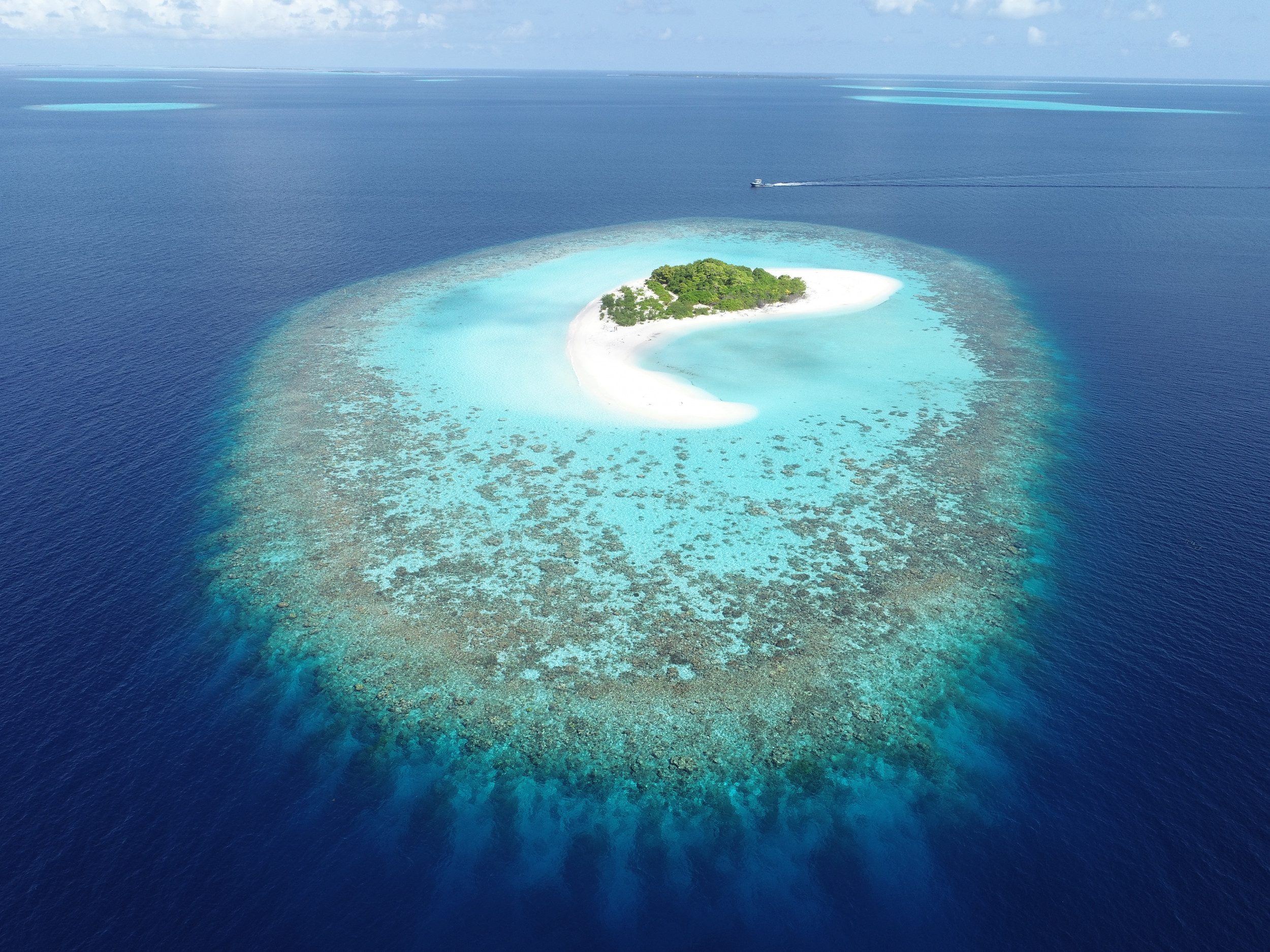 Coral Sea, Islands, Sea level rise, Scientists, 2500x1880 HD Desktop