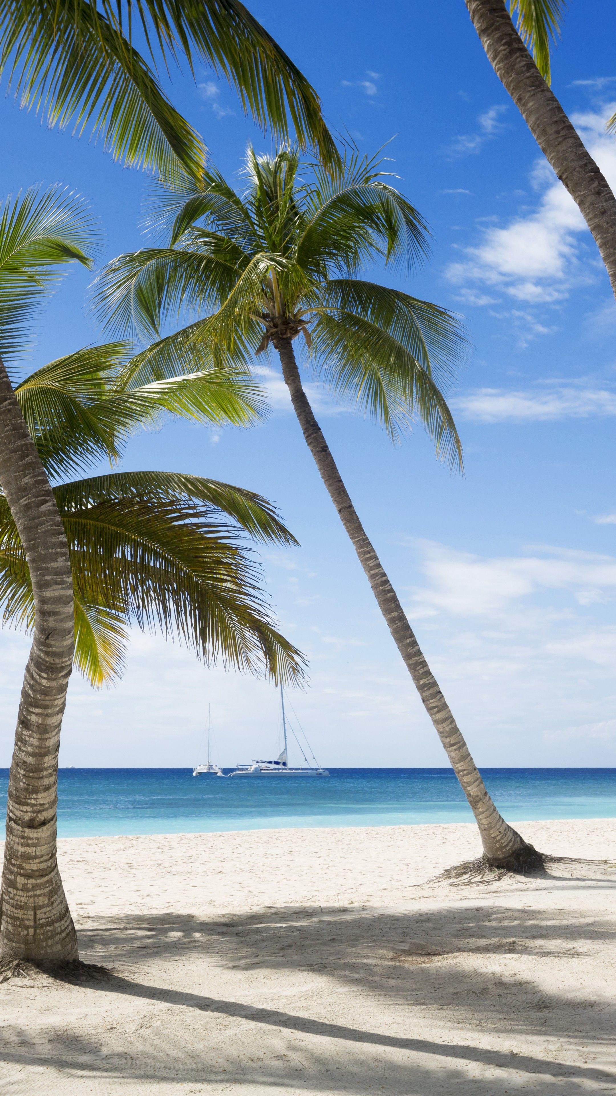 Caribbean beach, iPhone wallpapers, Tropical paradise, Sandy shores, 2160x3840 4K Phone
