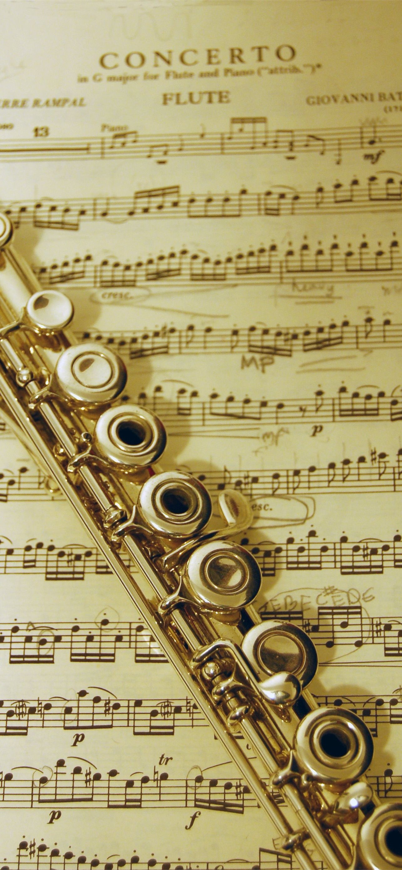 Flute: A wind instrument made from a tube with holes that are stopped by the fingers or keys. 1290x2780 HD Background.