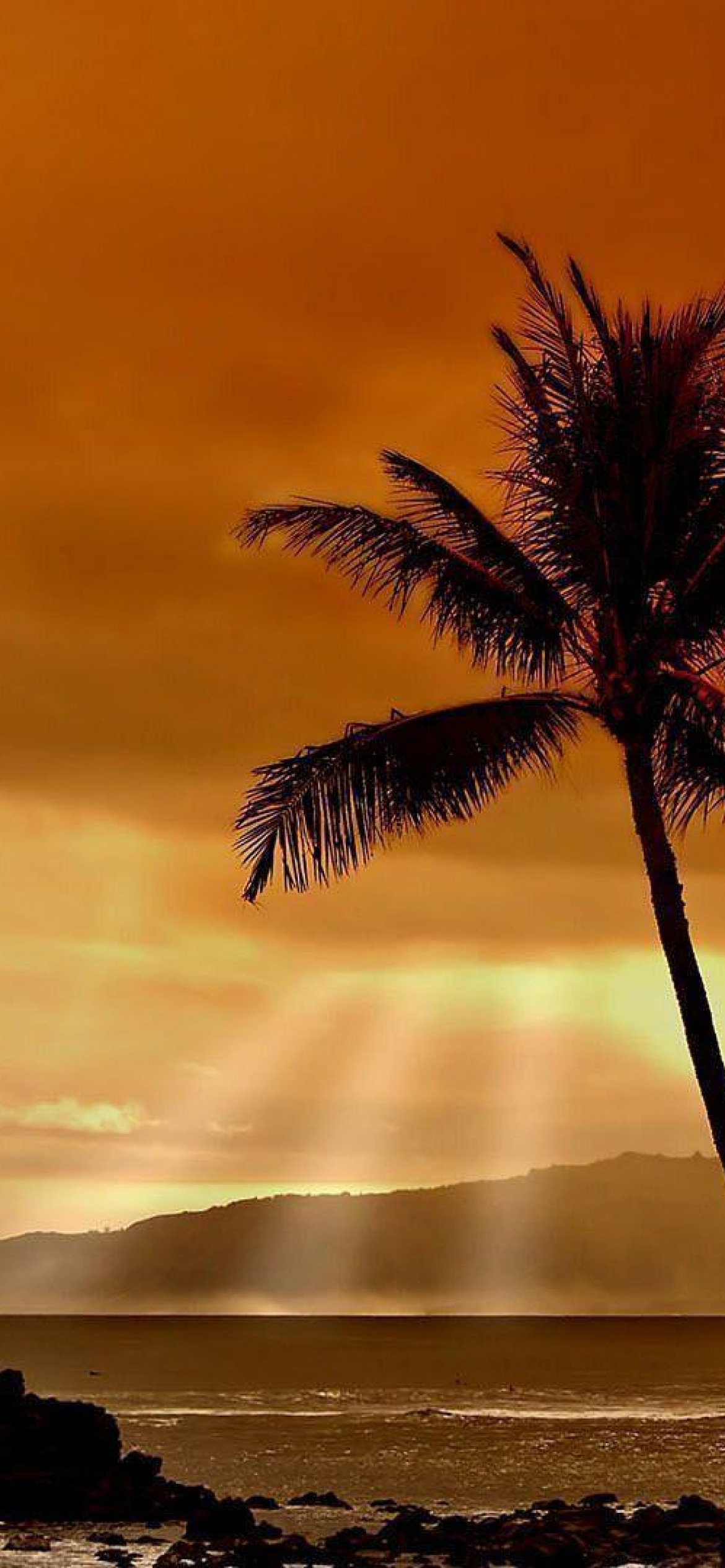 Hawaiian Sunset, Vibrant colors, Serene beauty, 1170x2540 HD Phone