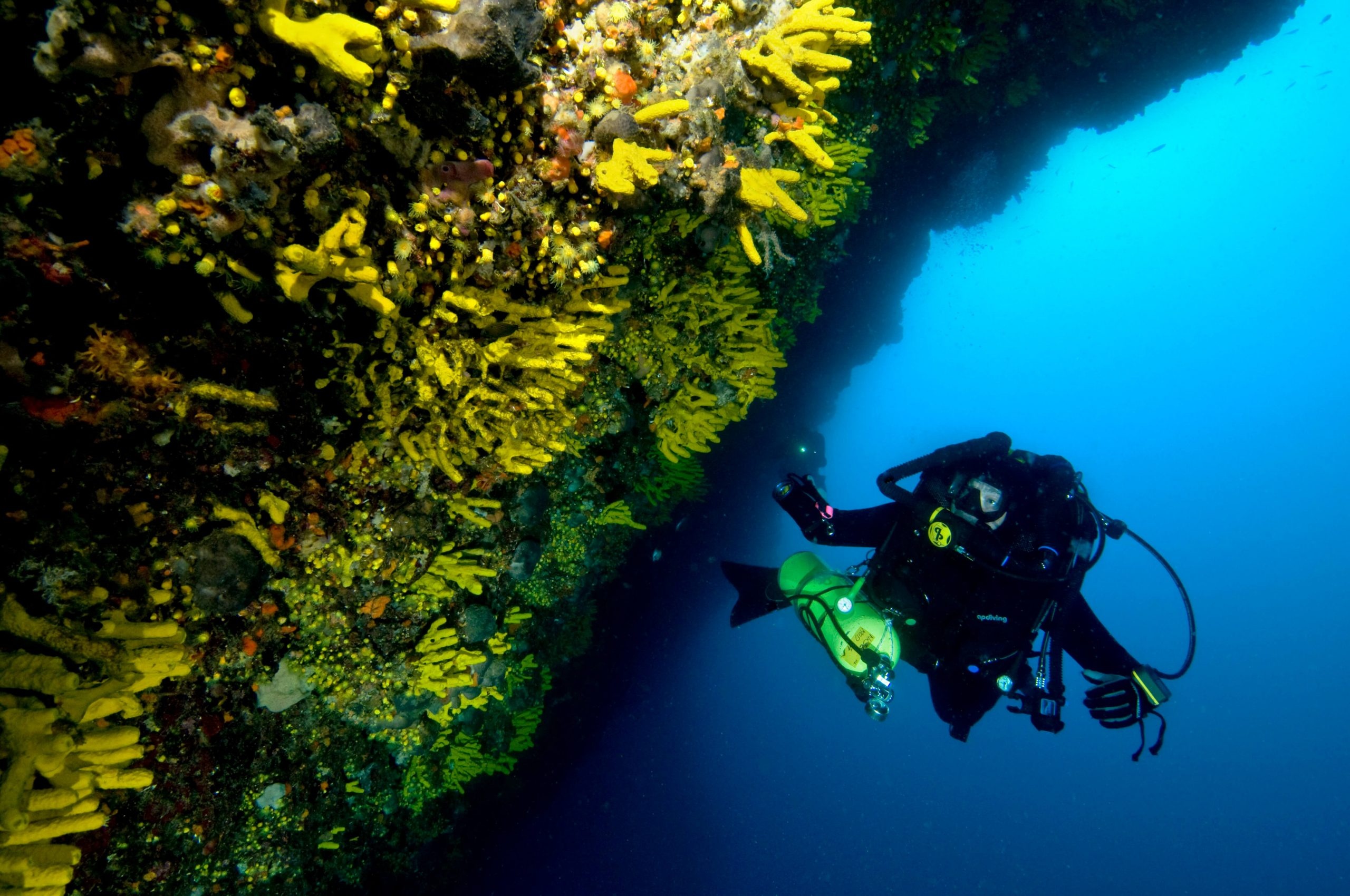 Diving: A deep-sea reef exploration performed by a professional scuba diver. 2560x1700 HD Wallpaper.