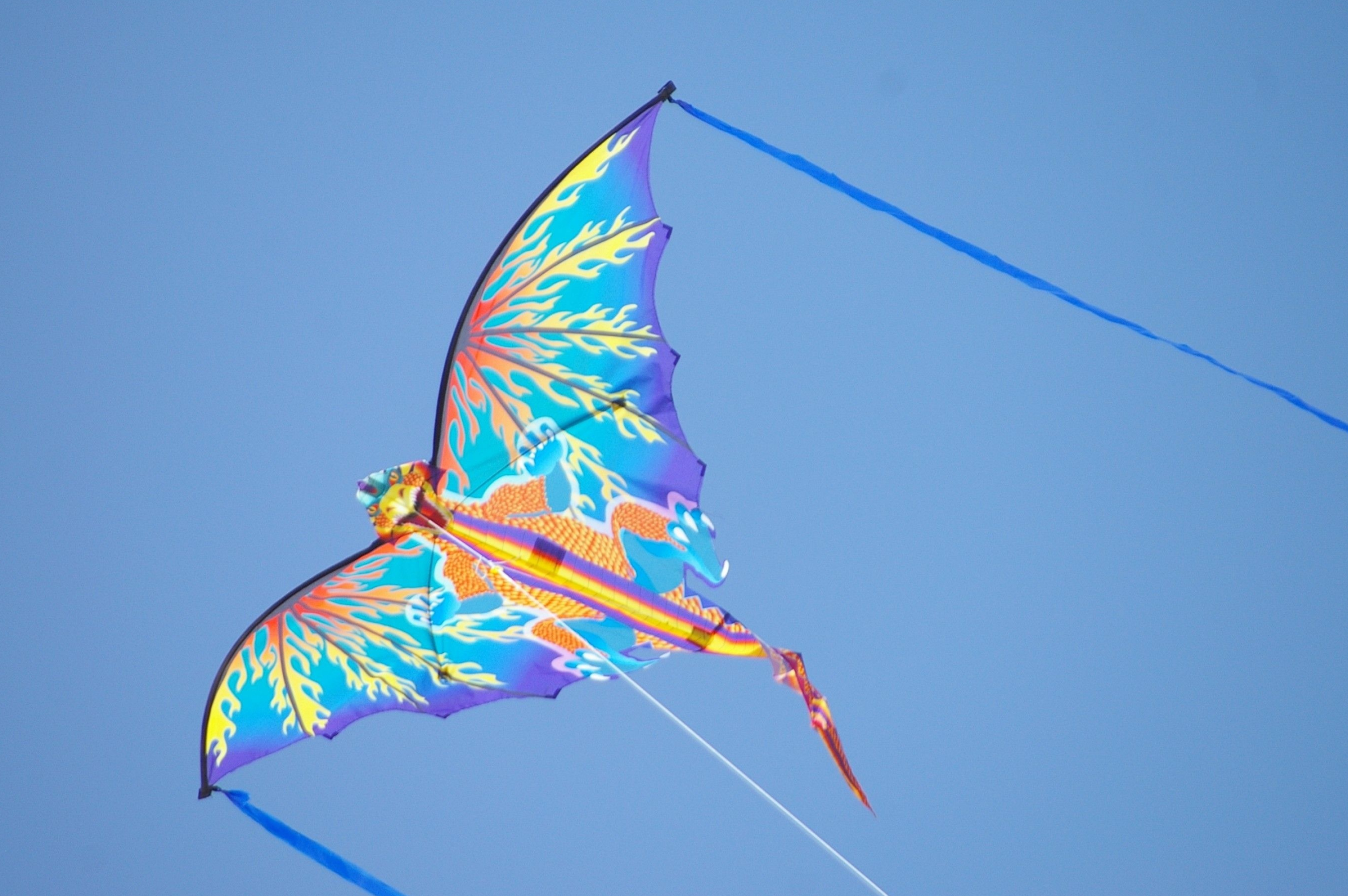 Kite Flying: A massive wingspan, 134 cm kite, A fantasy-themed design, Dragon-like surfing kite. 3010x2000 HD Wallpaper.