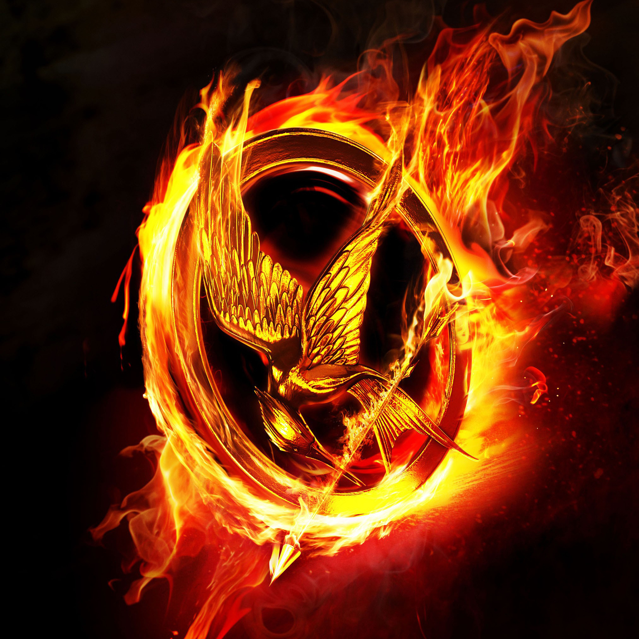 Hunger Games: The story takes place in a dystopian post-apocalyptic future in the nation of Panem. 2050x2050 HD Background.