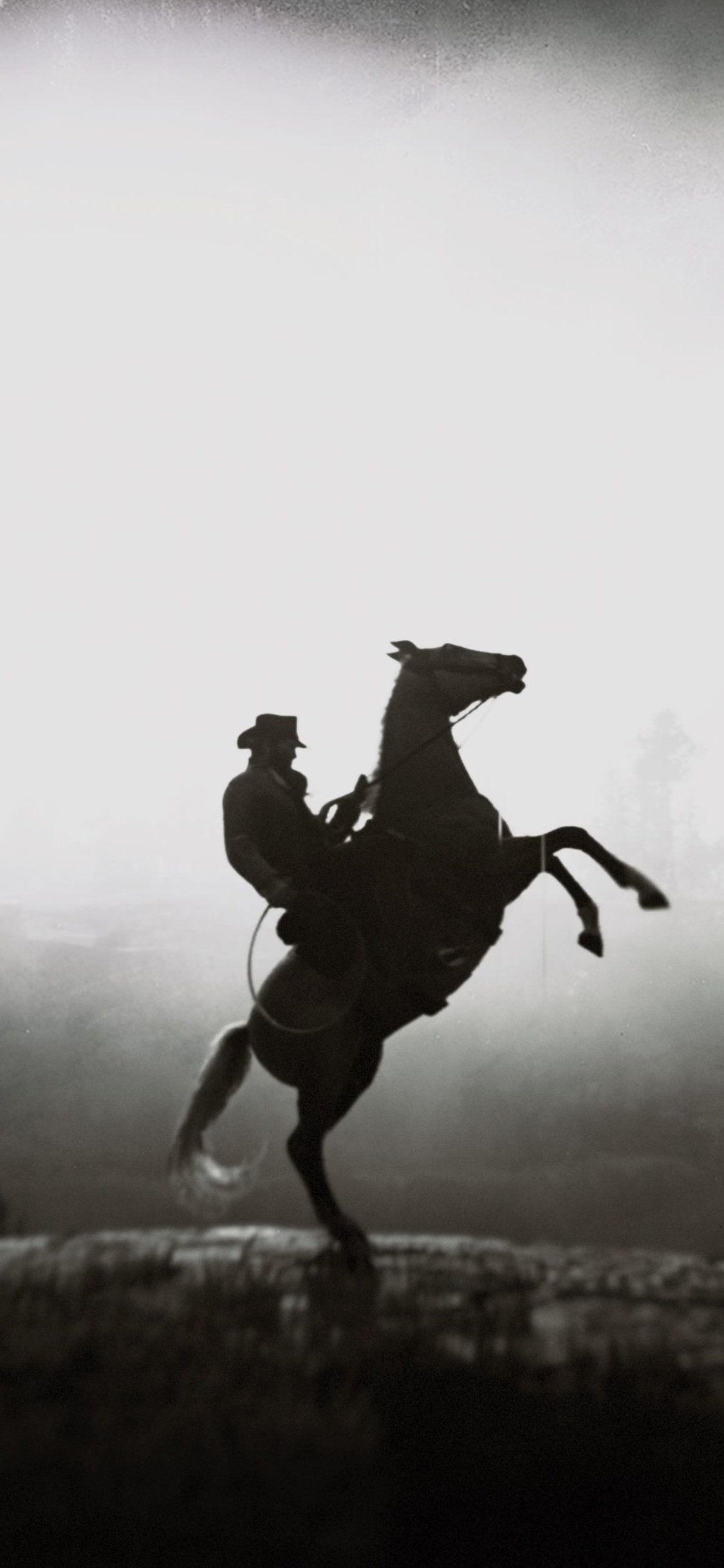 Equitation: Horse riding in Red Dead Redemption 2 video game, Monochrome fan art. 1130x2440 HD Background.