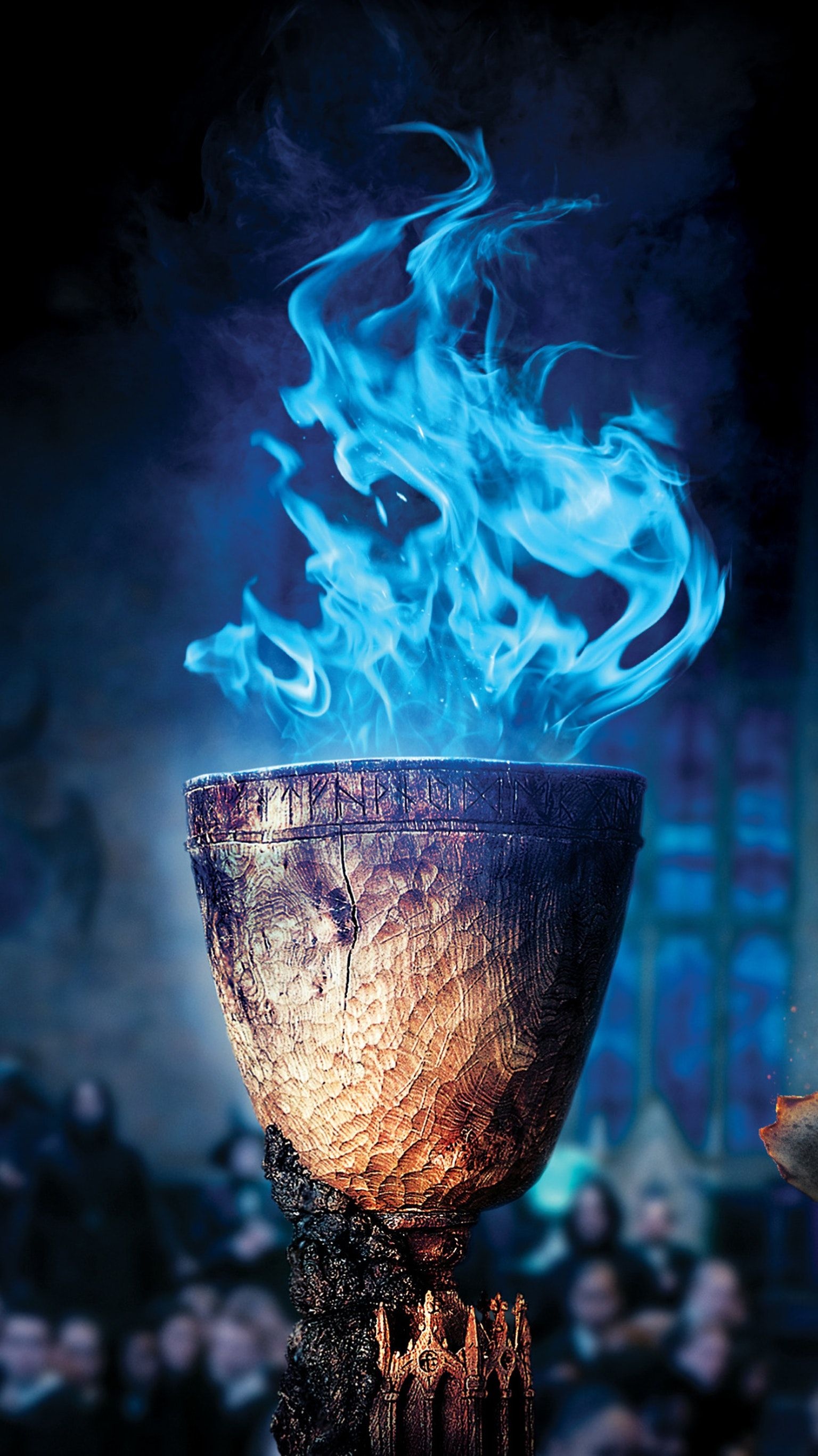 Harry Potter, Goblet of Fire, Phone wallpaper, Moviemania, 1540x2740 HD Handy