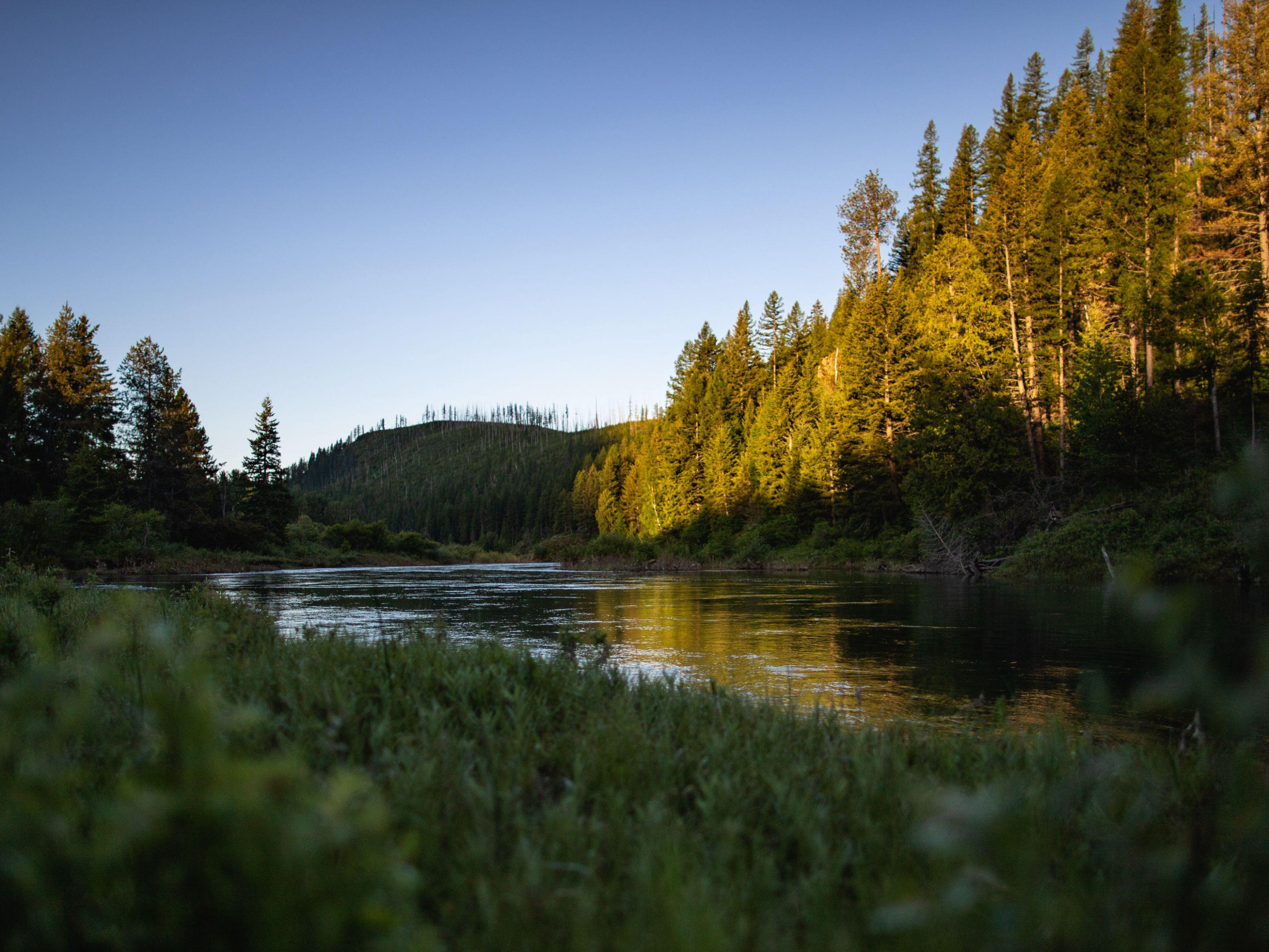 Saskatchewan River, River landscape, Nature's harmony, Scenic wallpaper, 2800x2100 HD Desktop