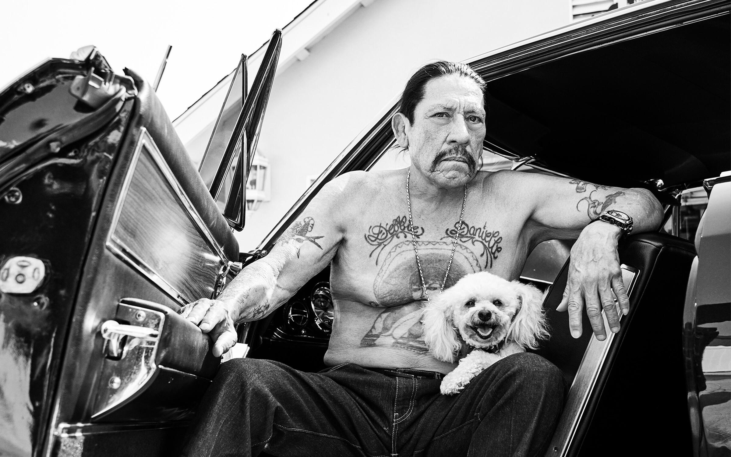 Danny Trejo: Zelda, A dog-lover, A Mexican American family, More than 350 films. 2400x1500 HD Background.