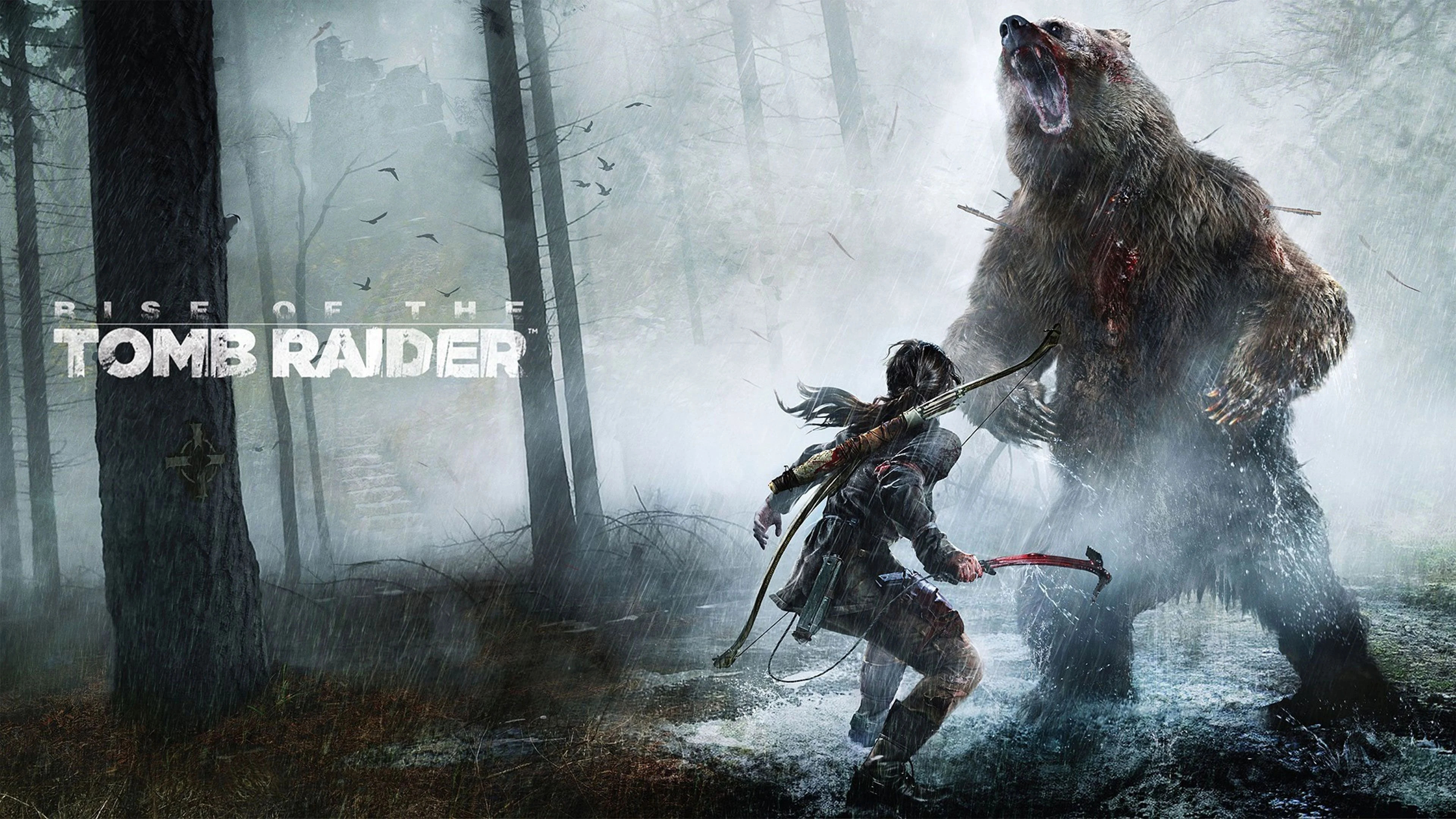 Tomb Raider 4K, Stunning desktop backgrounds, Immersive gaming experience, Detailed visuals, 3840x2160 4K Desktop