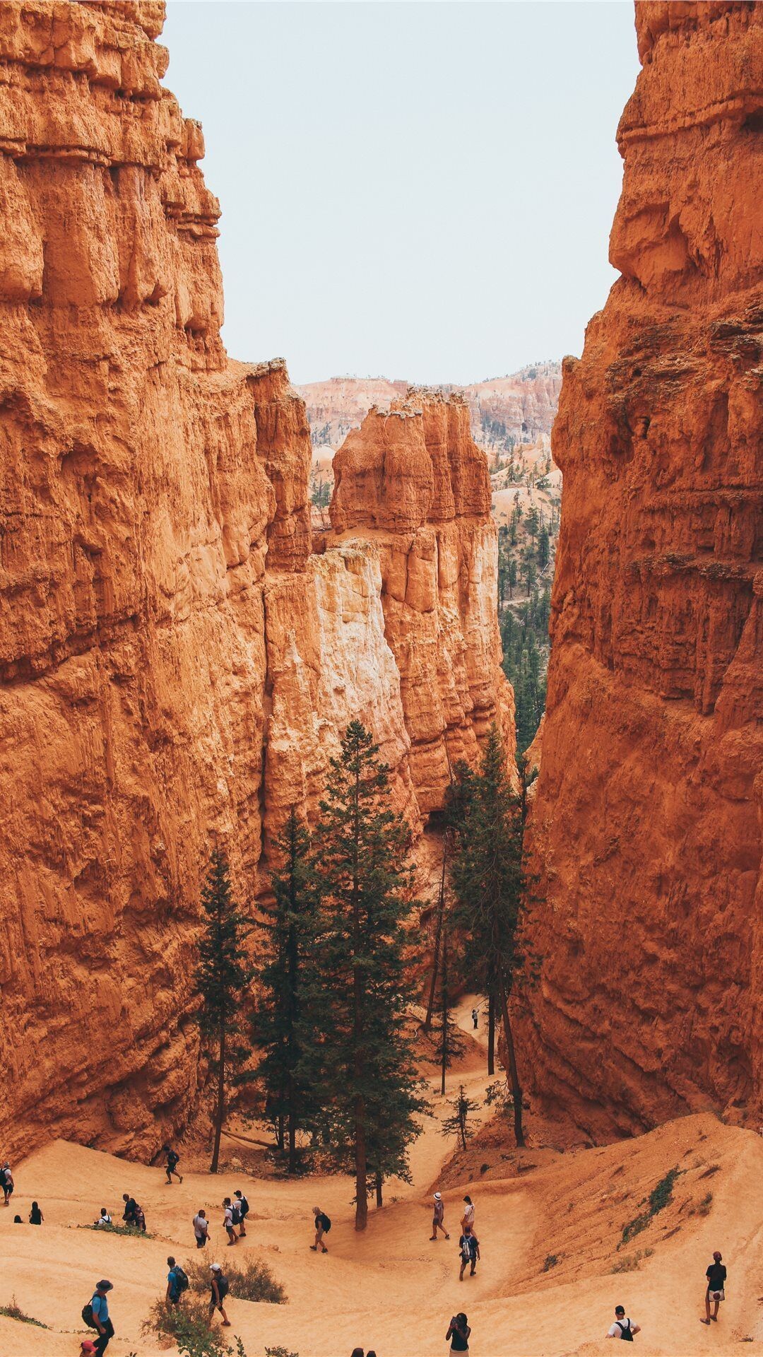 Geology: Canyon, A deep cleft between escarpments or cliffs, A line of high cliffs. 1080x1920 Full HD Background.
