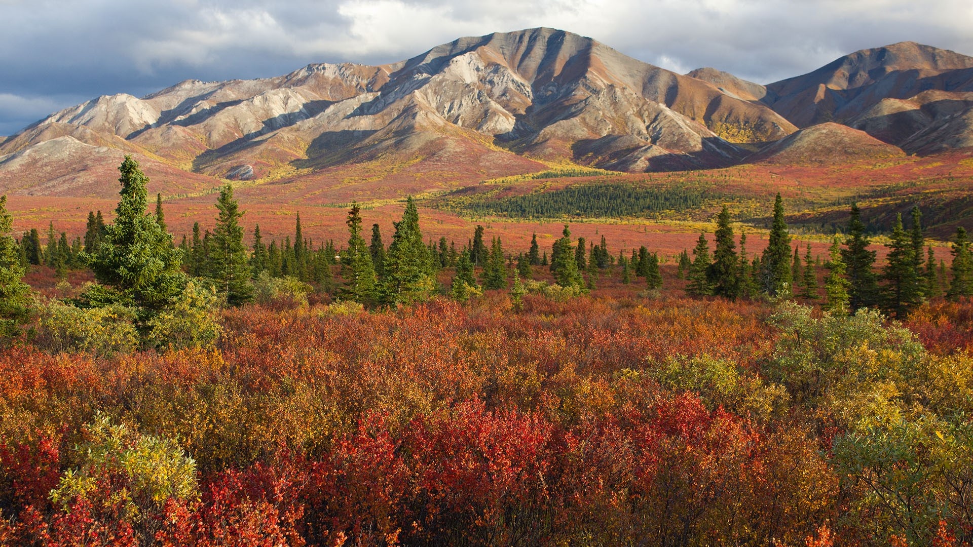 Denali National Park, Travels, Autumn, Alaska, 1920x1080 Full HD Desktop