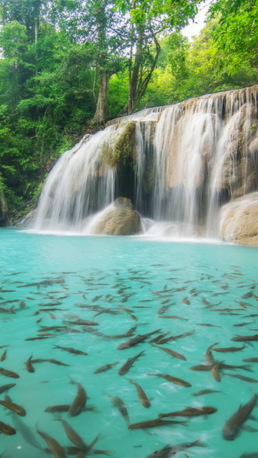 Waterfall: Erawan, Thailand, Remote area, Solitude. 1080x1920 Full HD Background.