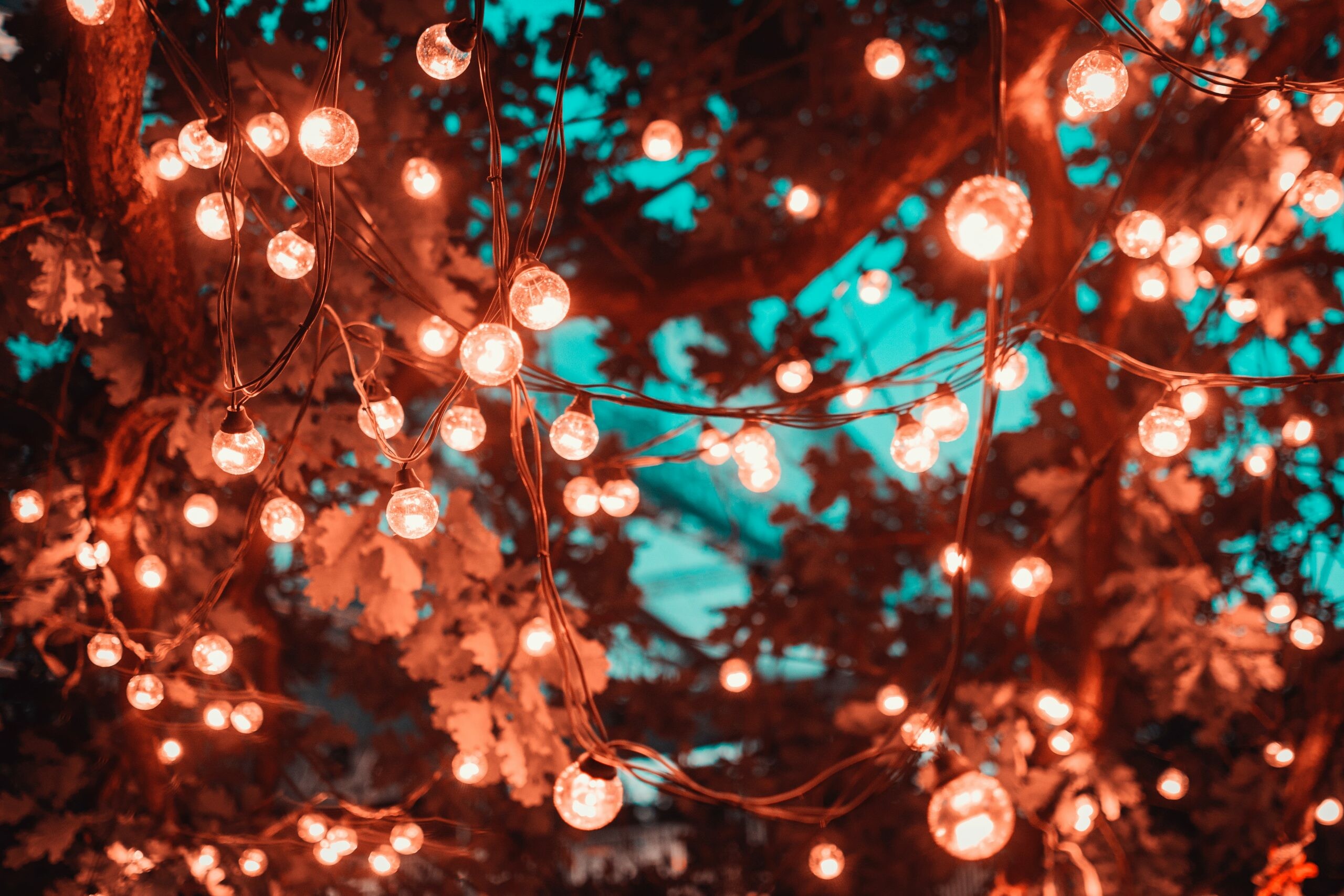 Fairy Lights: The holiday illumination, Decoration, Celebration. 2560x1710 HD Background.