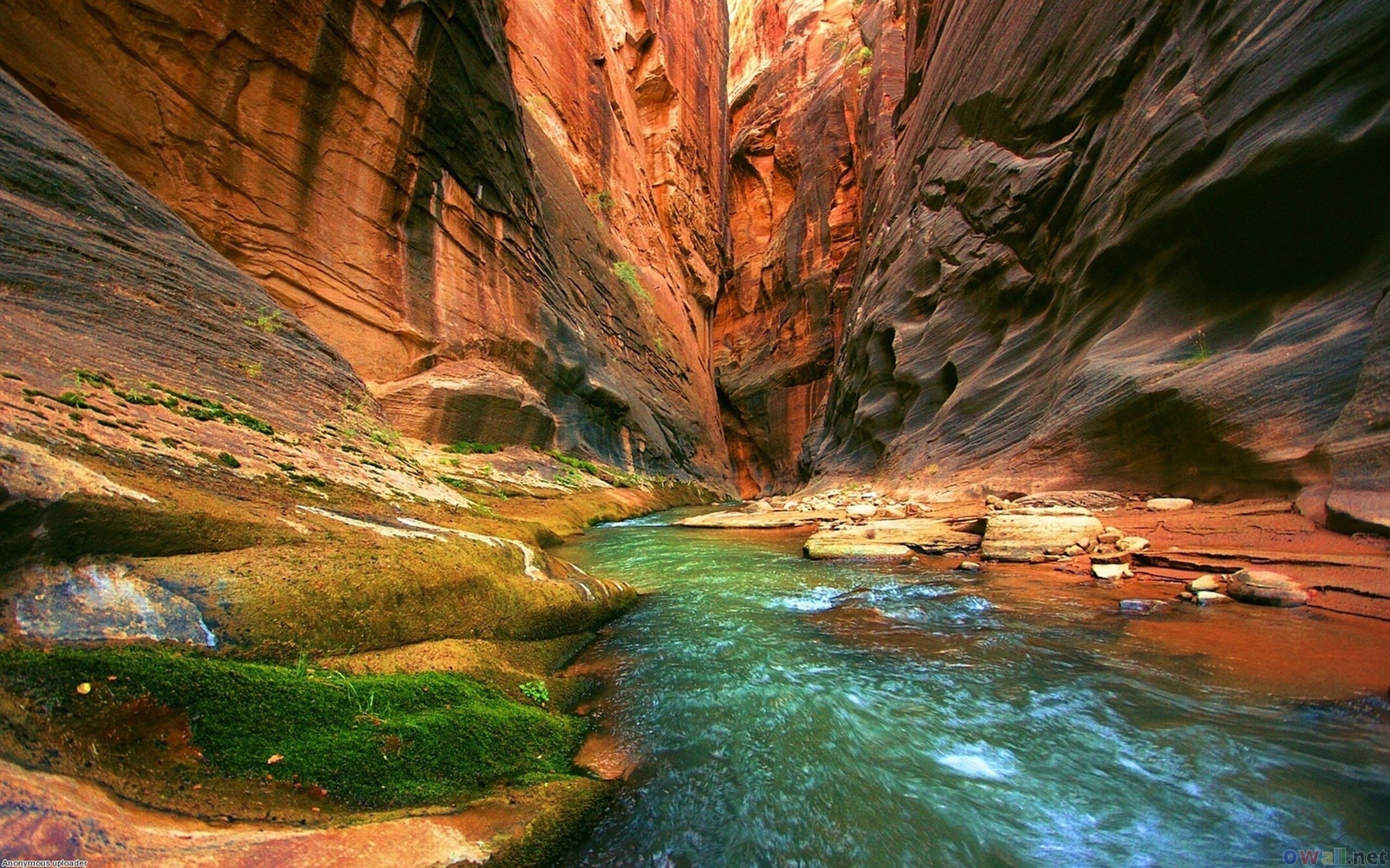 Colorado River, Nature's wonder, Scenic beauty, Majestic landscapes, 2560x1600 HD Desktop