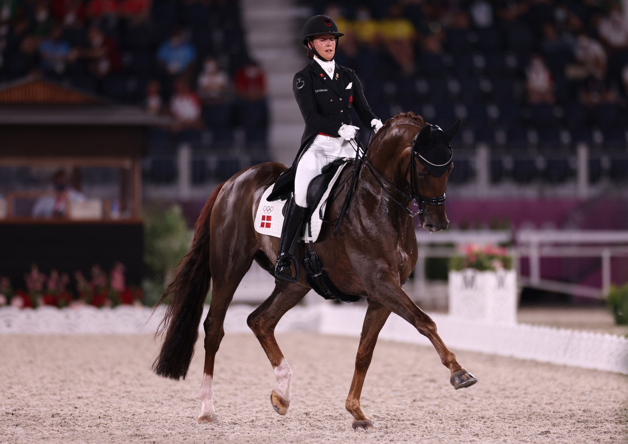 Dressage: World Cup opening in Herning, Denmark's Cathrine Dufour riding Westphalian gelding Bohemian. 2050x1450 HD Background.