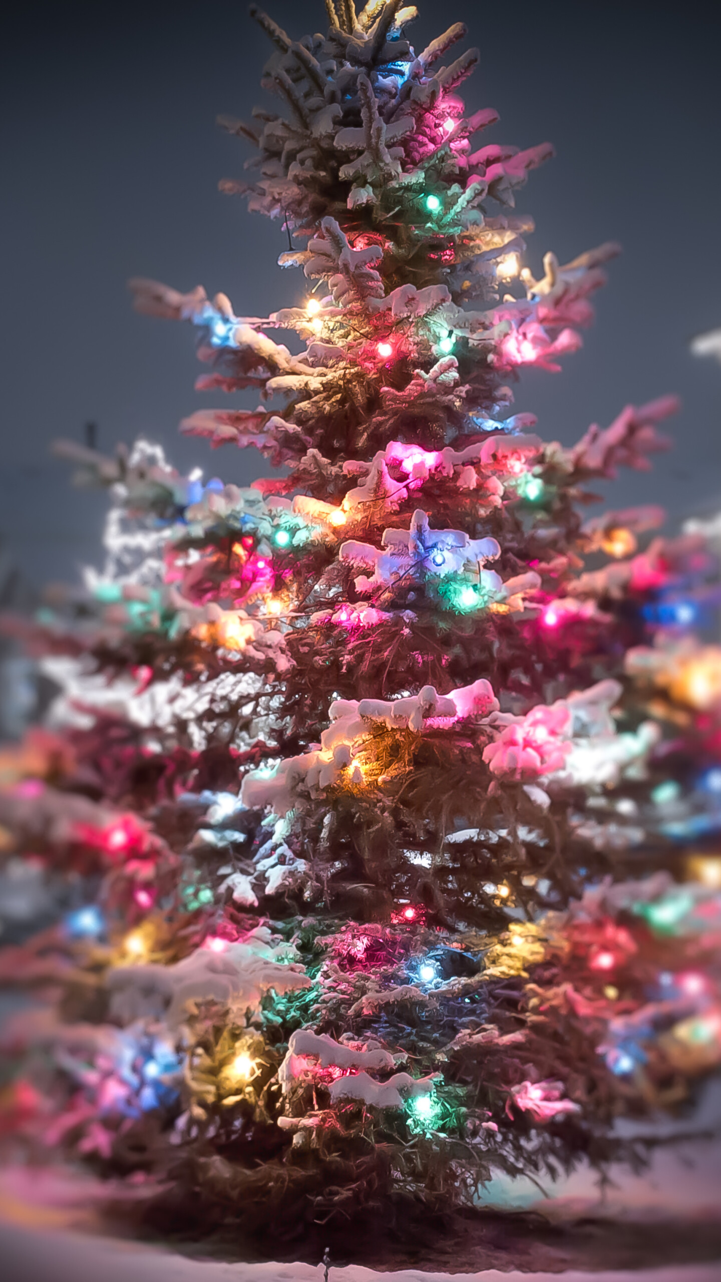 Christmas Lights: Among the most recognized forms of holiday decoration. 1440x2560 HD Background.