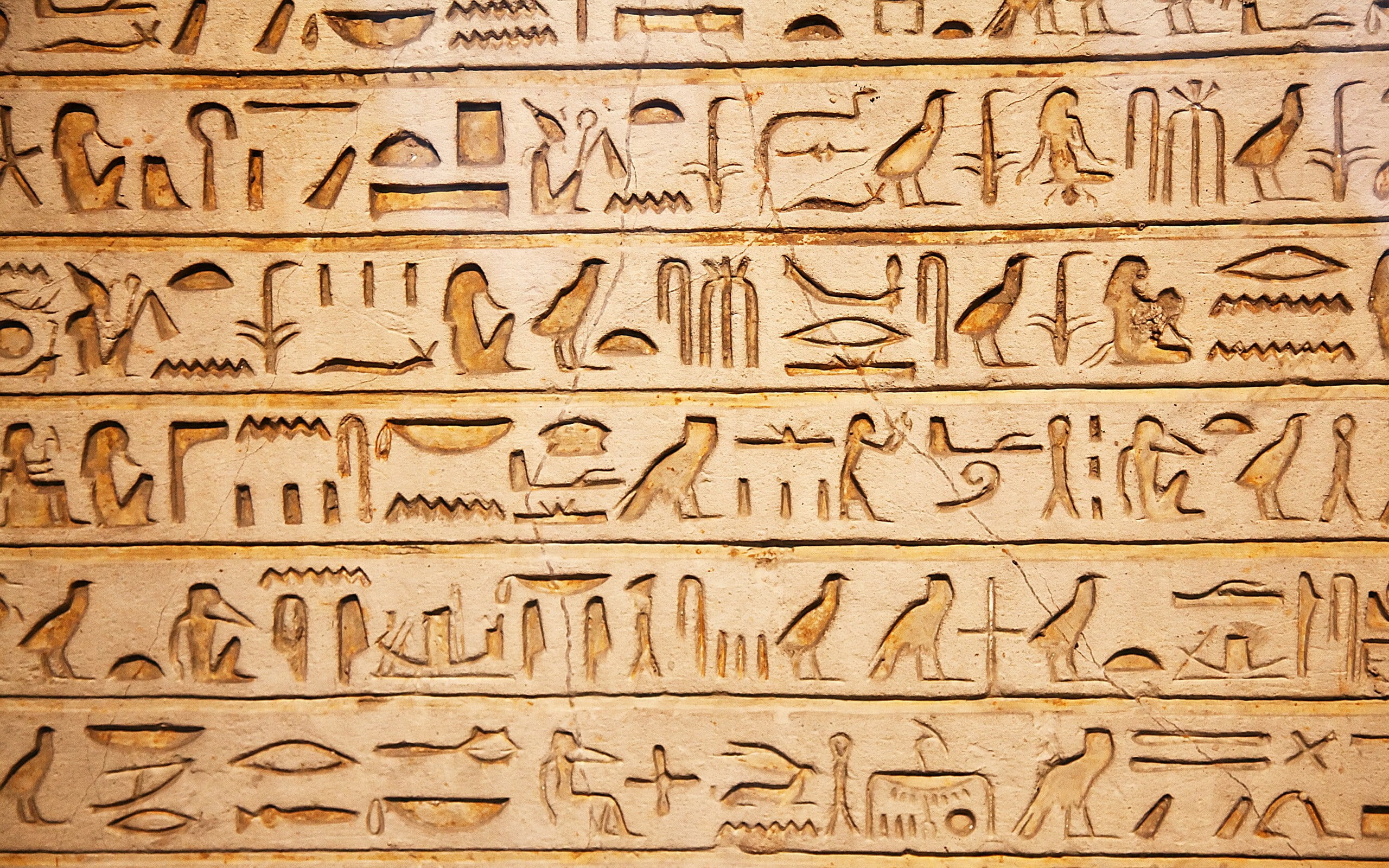 Hieroglyphics, Egyptian hieroglyphics, Ancient Egypt, African culture, 2560x1600 HD Desktop