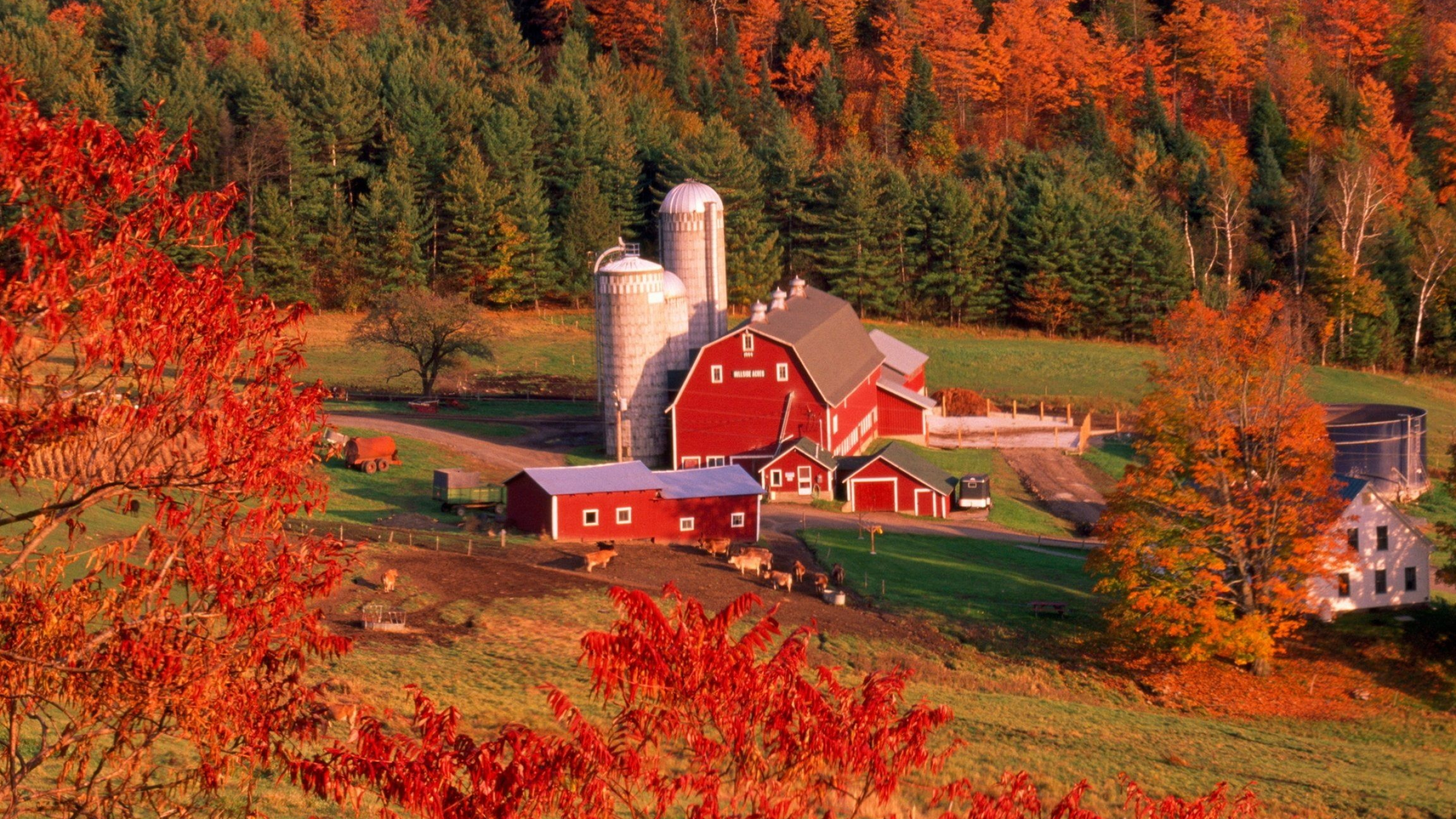 Northern Vermont in autumn, Fall wallpaper, 2K HD, Desktop, 2560x1440 HD Desktop