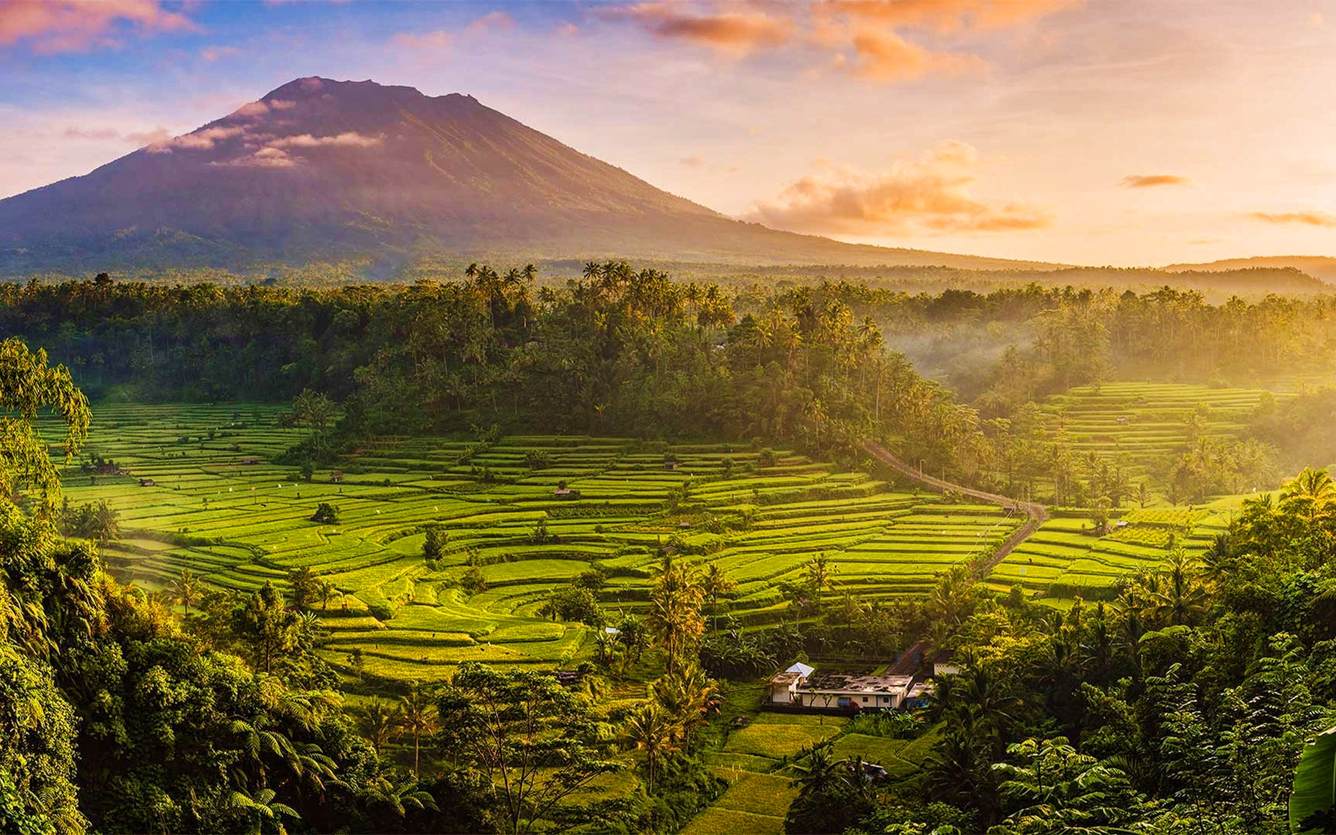 Bali's natural beauty, Stunning wallpapers, Serene rice fields, Breathtaking sunsets, 1920x1200 HD Desktop