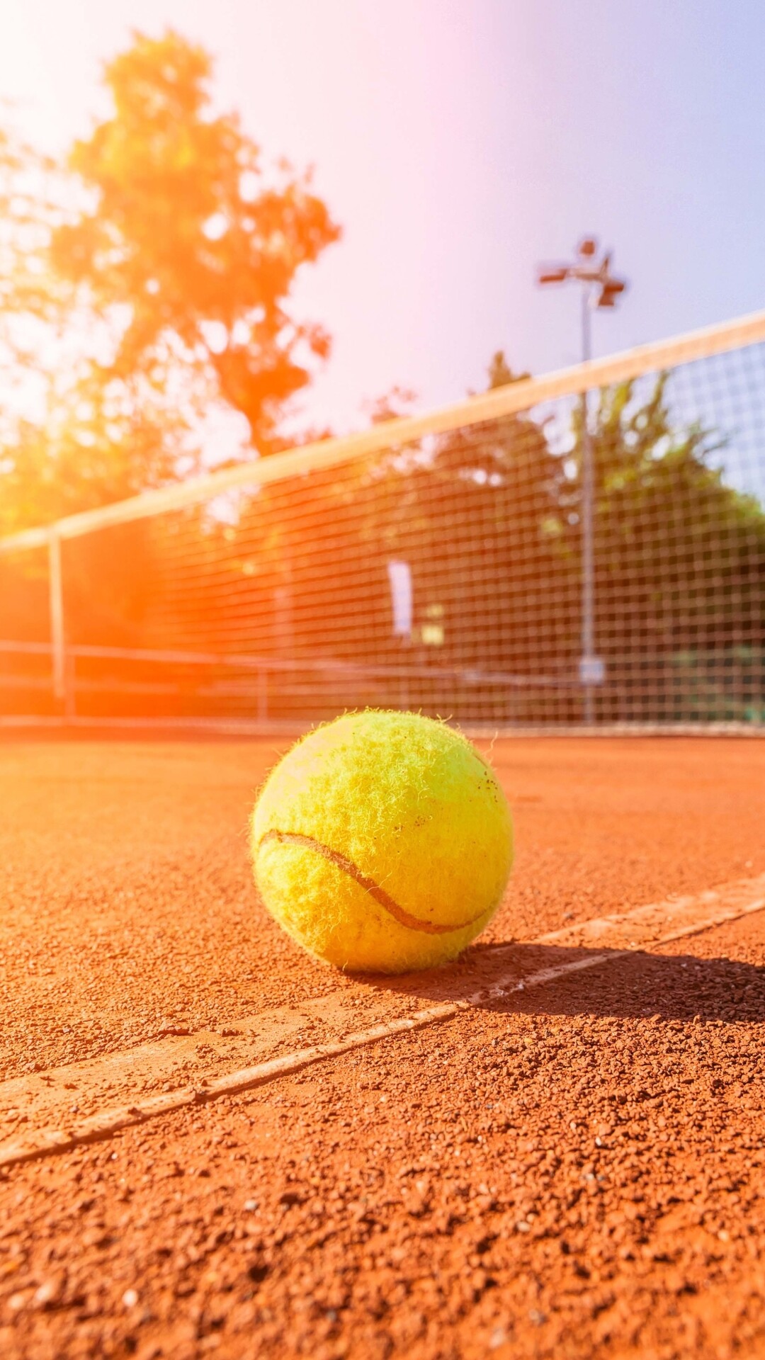 Tennis, Sporttennis, Tennisausrstung, Tennisblle, Tennisschlger, 1080x1920 Full HD Handy