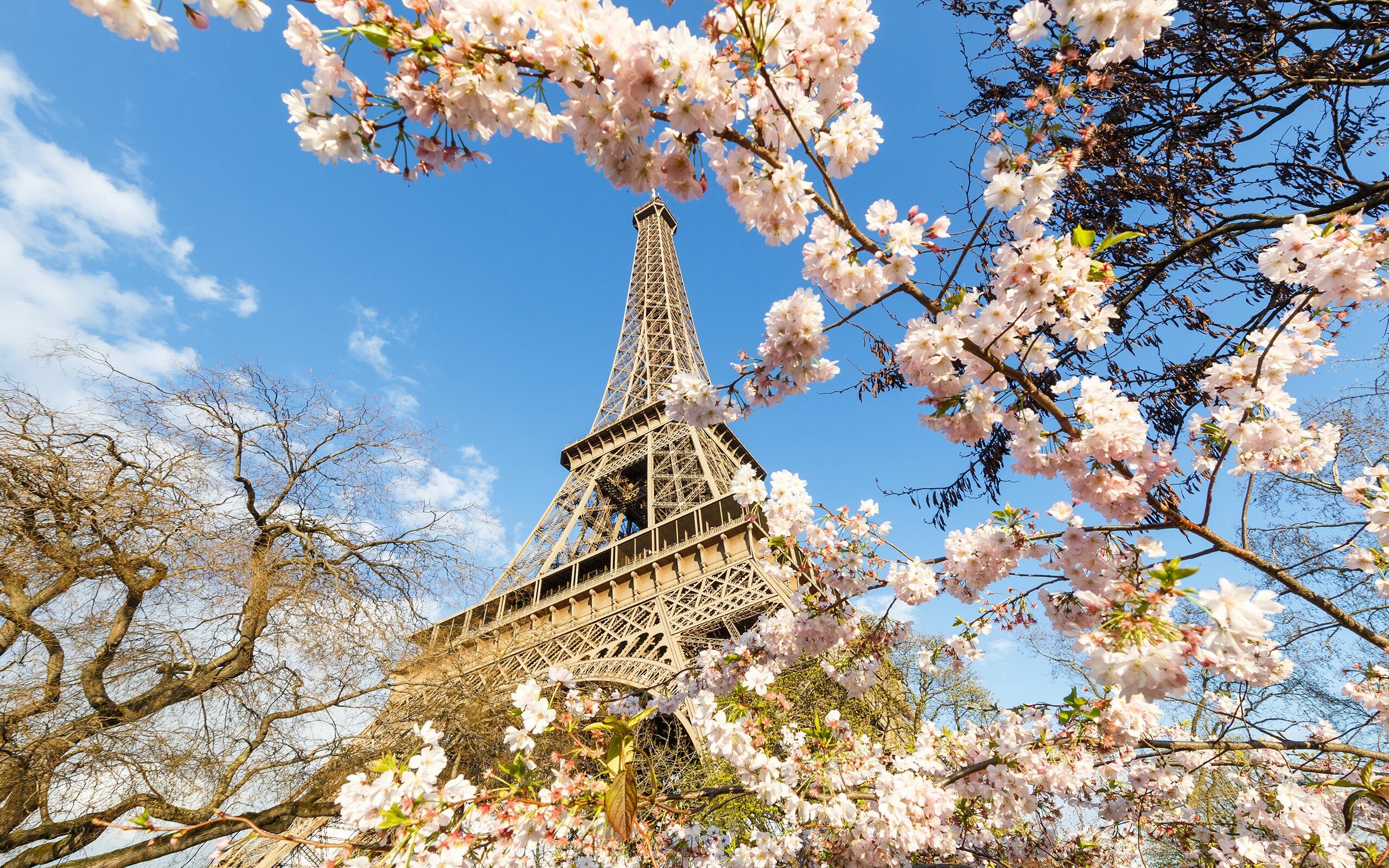 Spring: Eiffel Tower, The period between the spring equinox and the summer solstice. 2560x1600 HD Wallpaper.