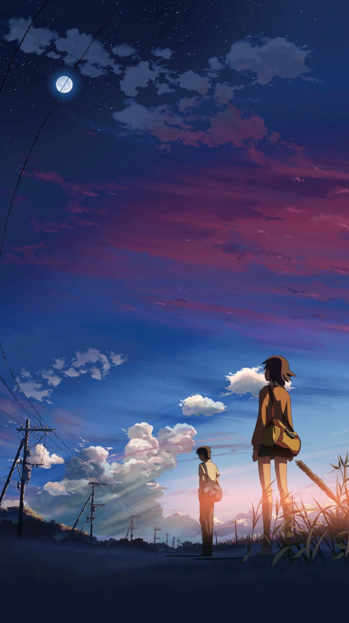 Your Name: The film premiered at the 2016 Anime Expo convention in Los Angeles, California on July 3, 2016. 1440x2560 HD Background.