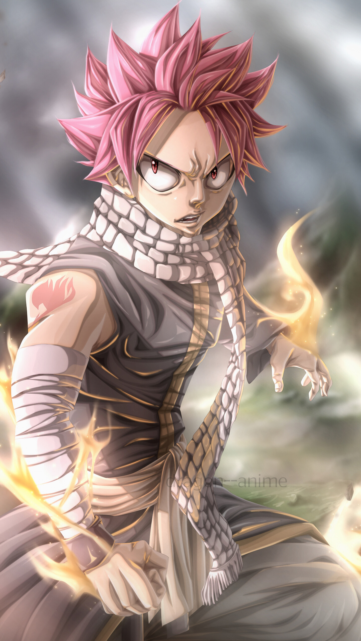 Fairy Tail: Natsu Dragneel, a demon known as "Etherious Natsu Dragneel" (E.N.D.). 1440x2560 HD Background.