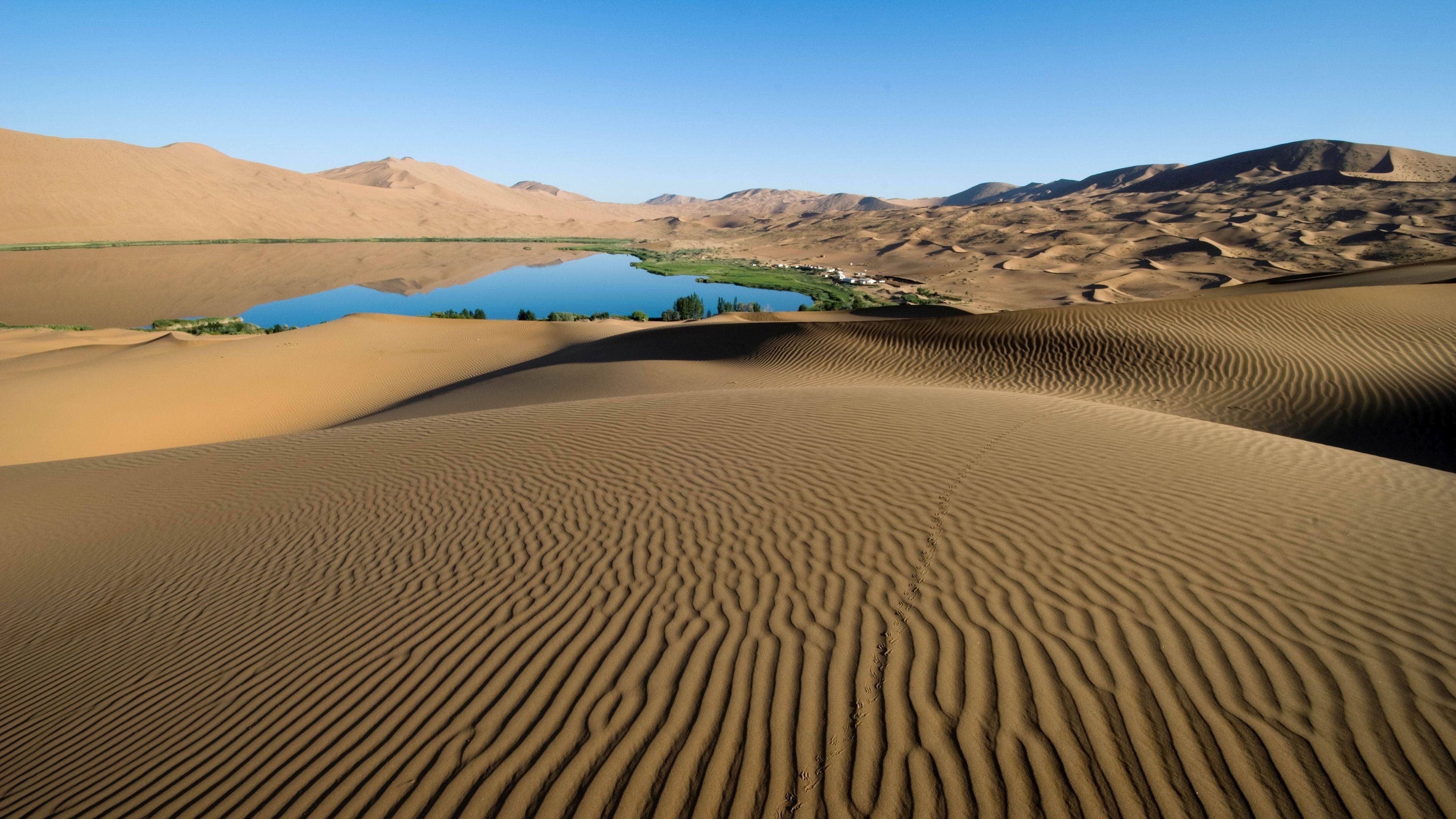Gobi Desert, Desert oasis, Serene landscapes, Tranquil beauty, 3840x2160 4K Desktop