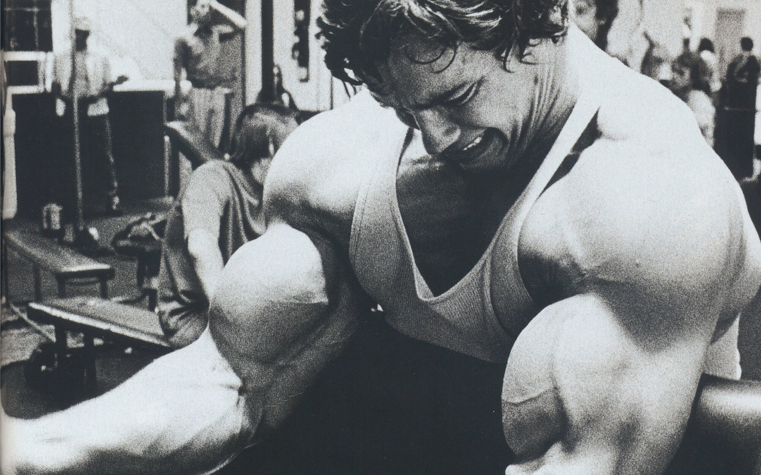 Arnold Schwarzenegger, Strong arms, 4K wallpapers, Fitness icon, 2560x1600 HD Desktop