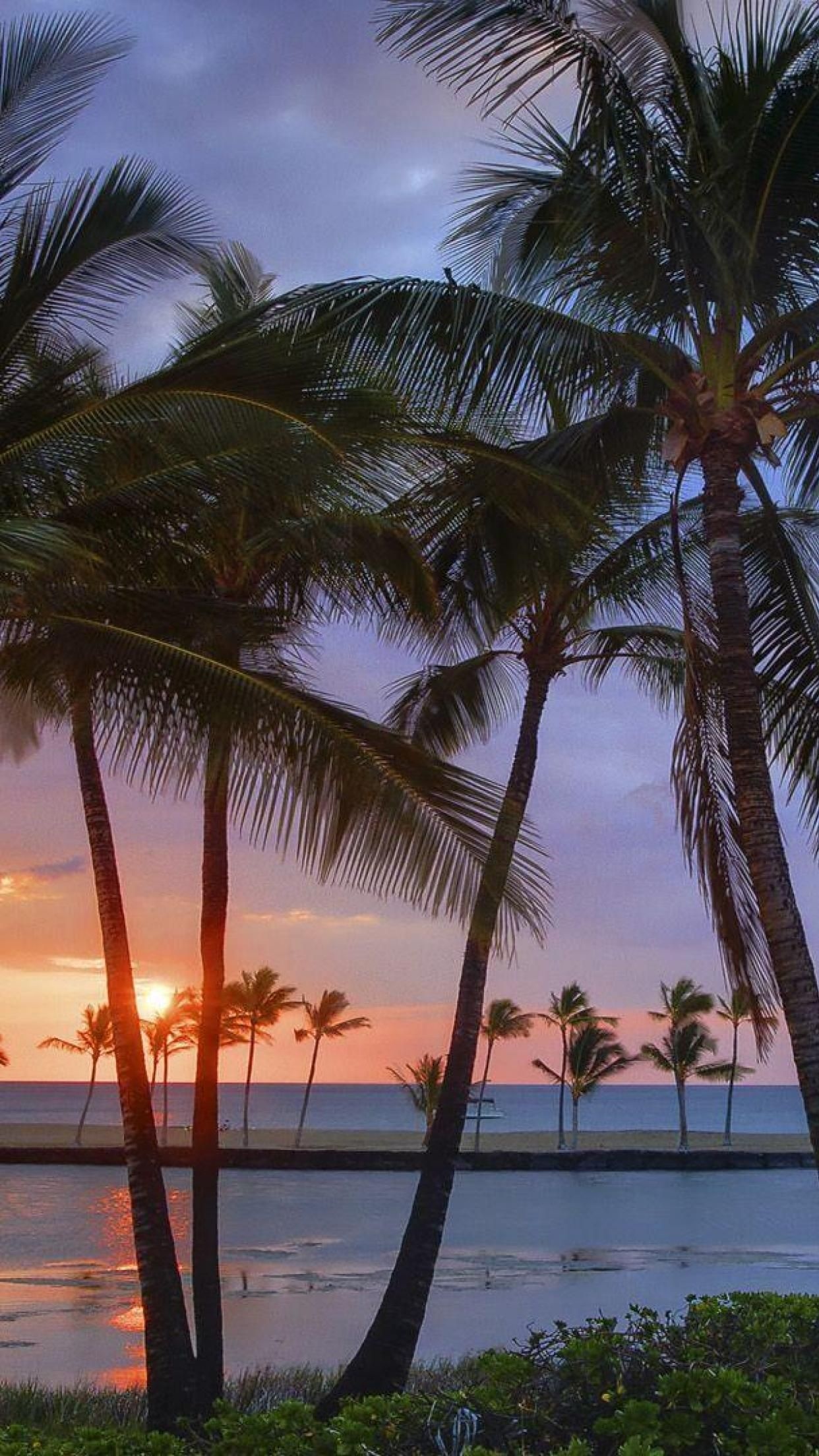 Hawaiian sunset, Breathtaking views, Palm trees, Relaxing beach getaway, 1250x2210 HD Phone