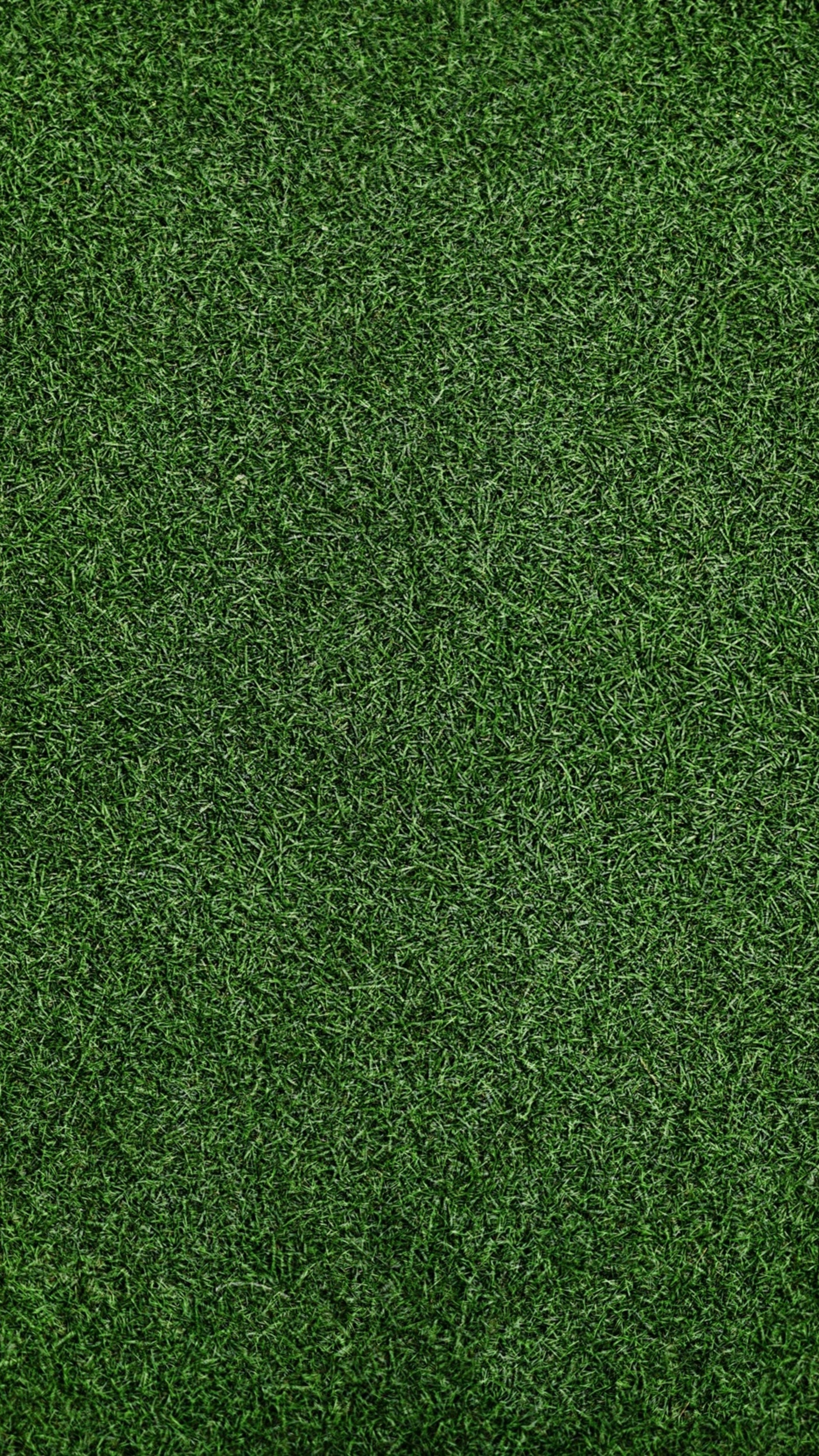 Grass background, Xperia x series, Premium HD, Vibrant images, 2160x3840 4K Phone