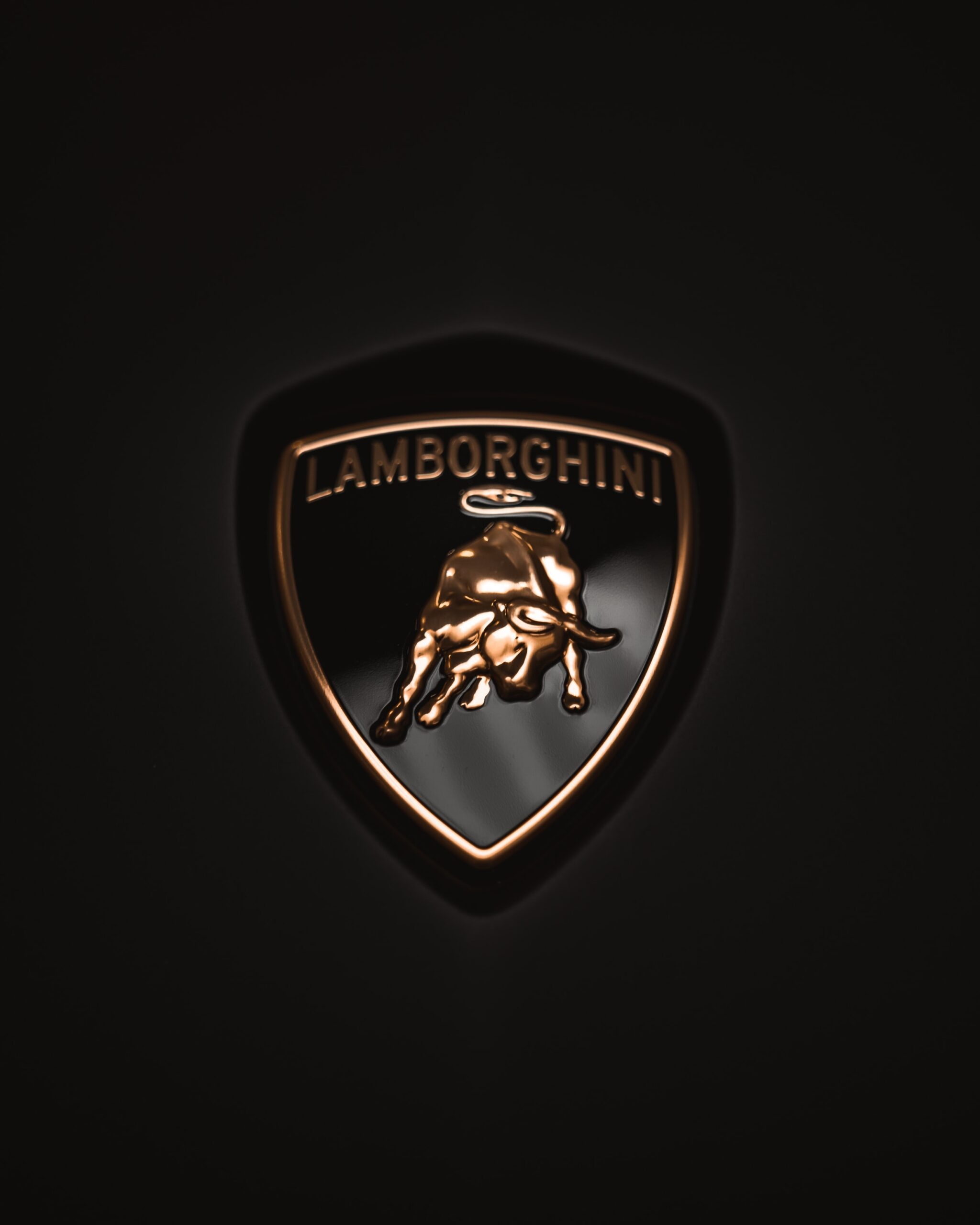 Lamborghini Logo, Latest automotive news, Motorsport news, Mindvoiz, 2050x2560 HD Phone