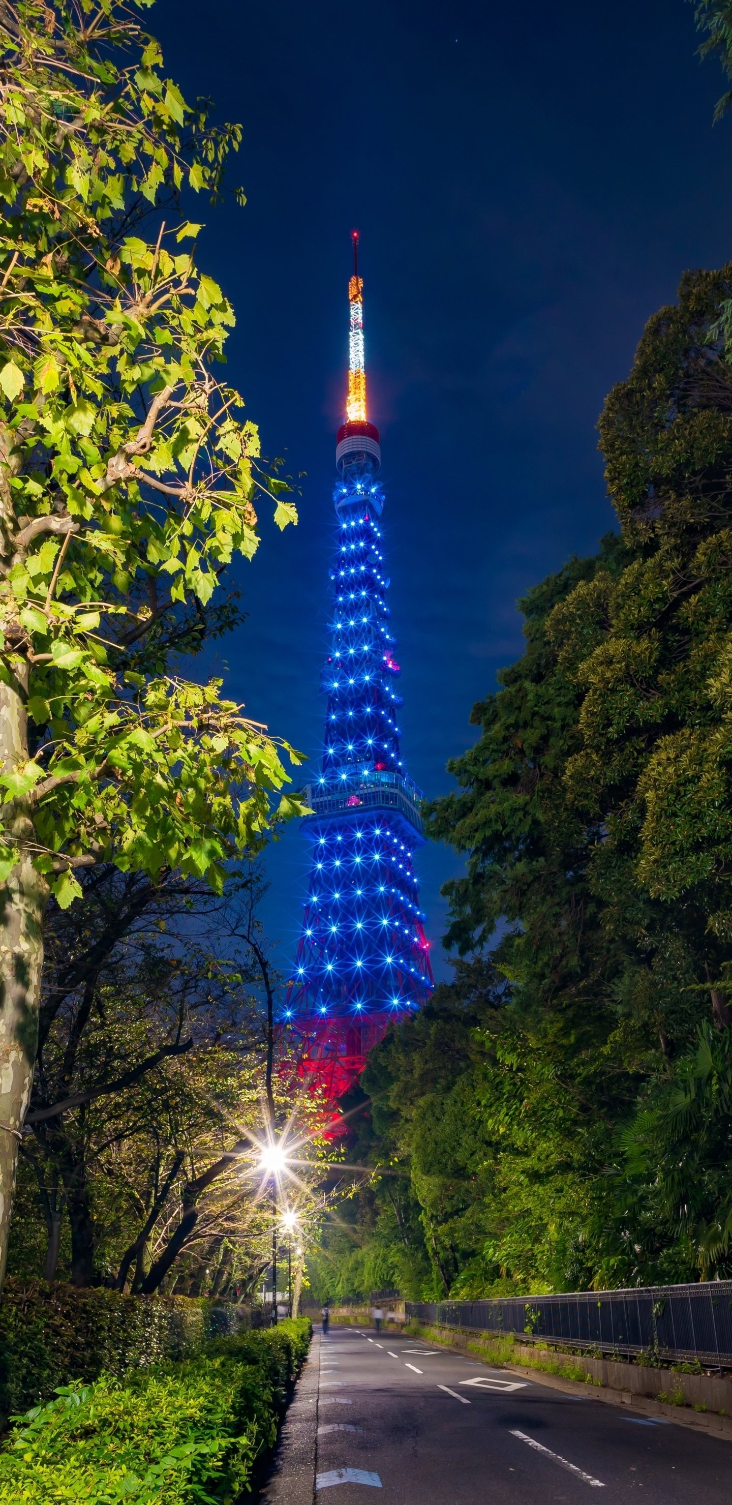 Tokyo Tower, Man-made marvel, Urban symbol, Japanese culture, 1440x2960 HD Phone