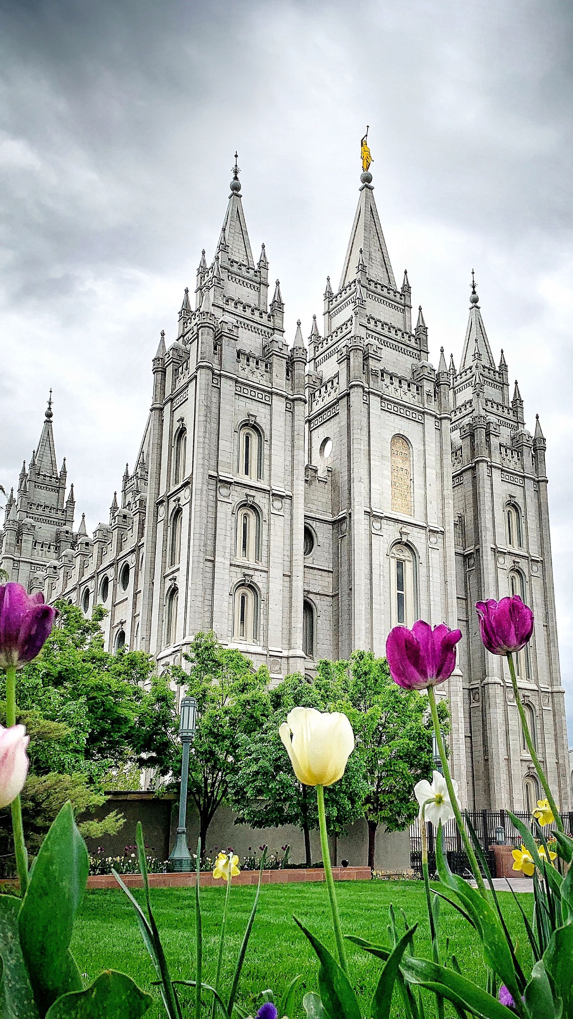 Fesselnde Tempelfotografie von Salt Lake Temple, 1950x3470 HD Handy