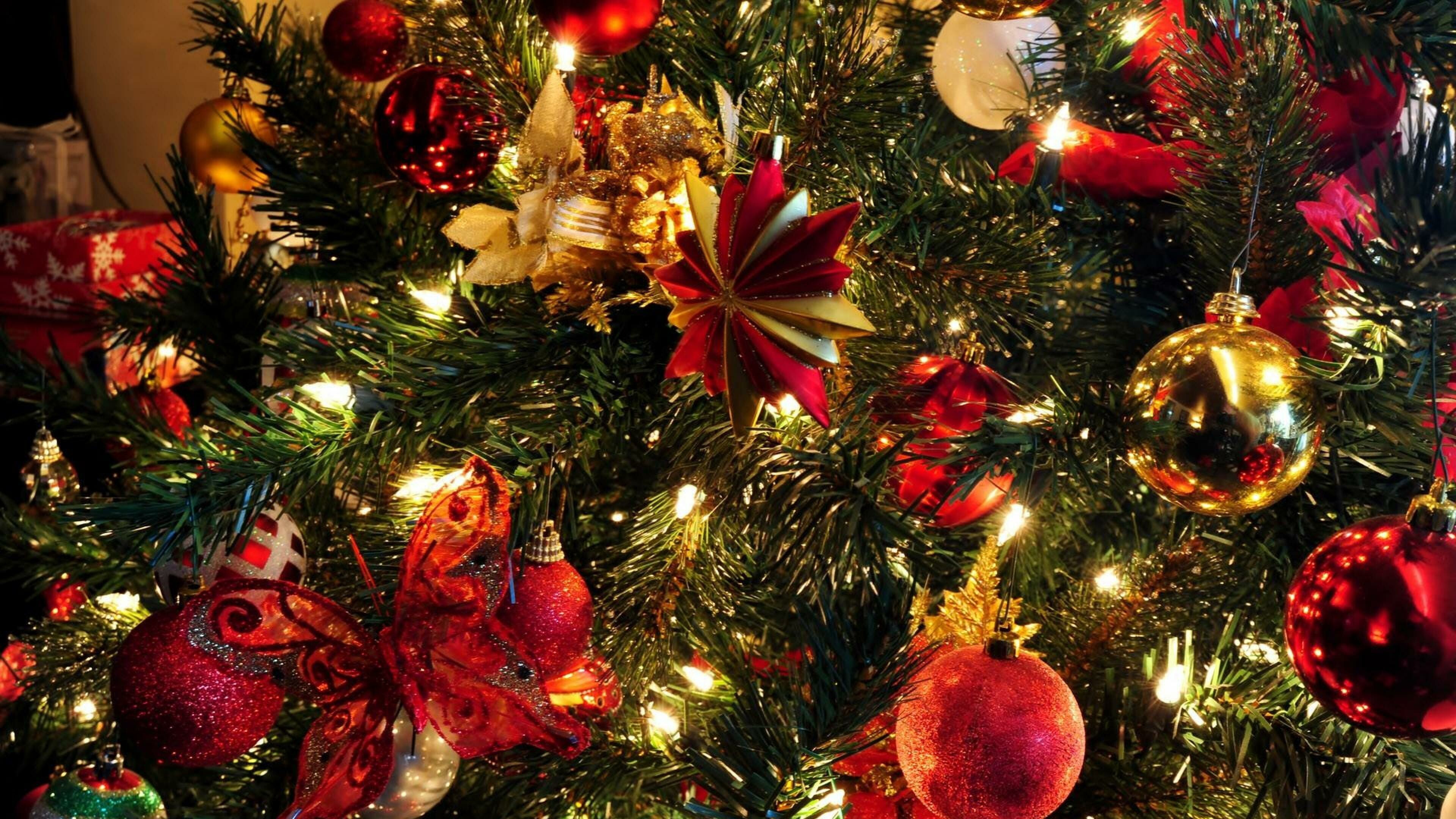 Christmas Ornament: Stars, Glare, Holiday, Shine, Fairy lights. 3840x2160 4K Background.