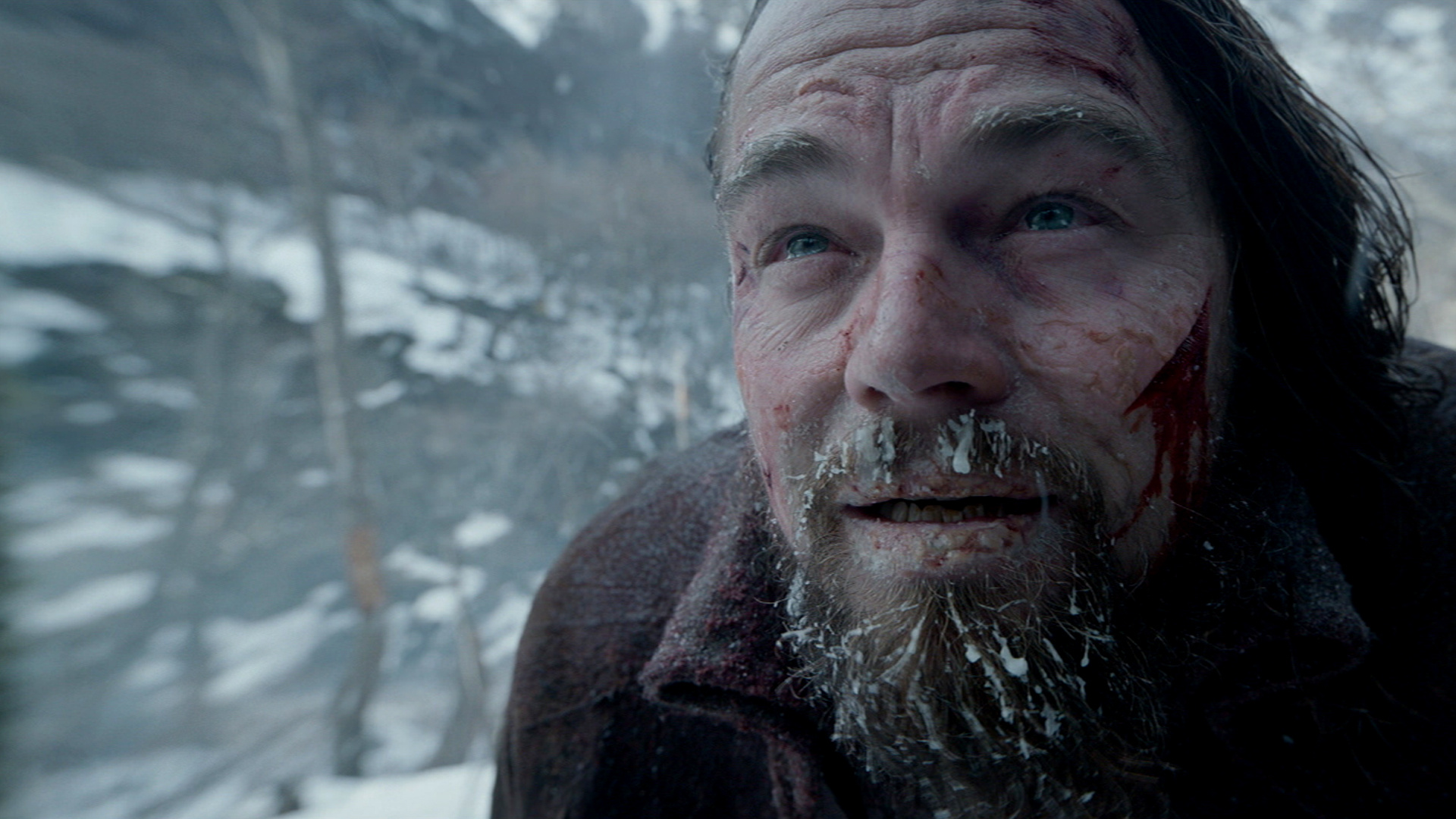 The Revenant wallpapers, Movie collection, Stunning pictures, High-quality images, 1920x1080 Full HD Desktop