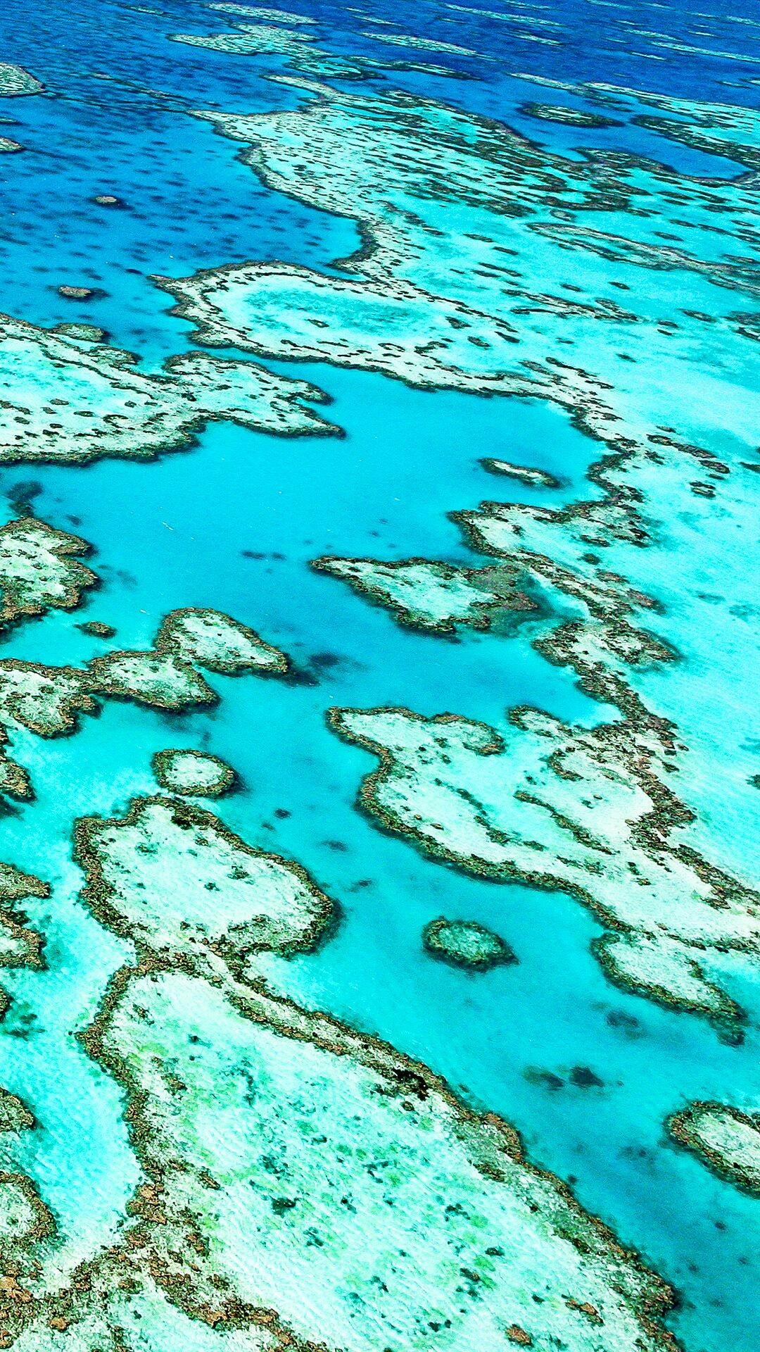 Great Barrier Reef: GBR in Australia, Has long been one of the world's most magnificent natural wonder. 1080x1920 Full HD Background.